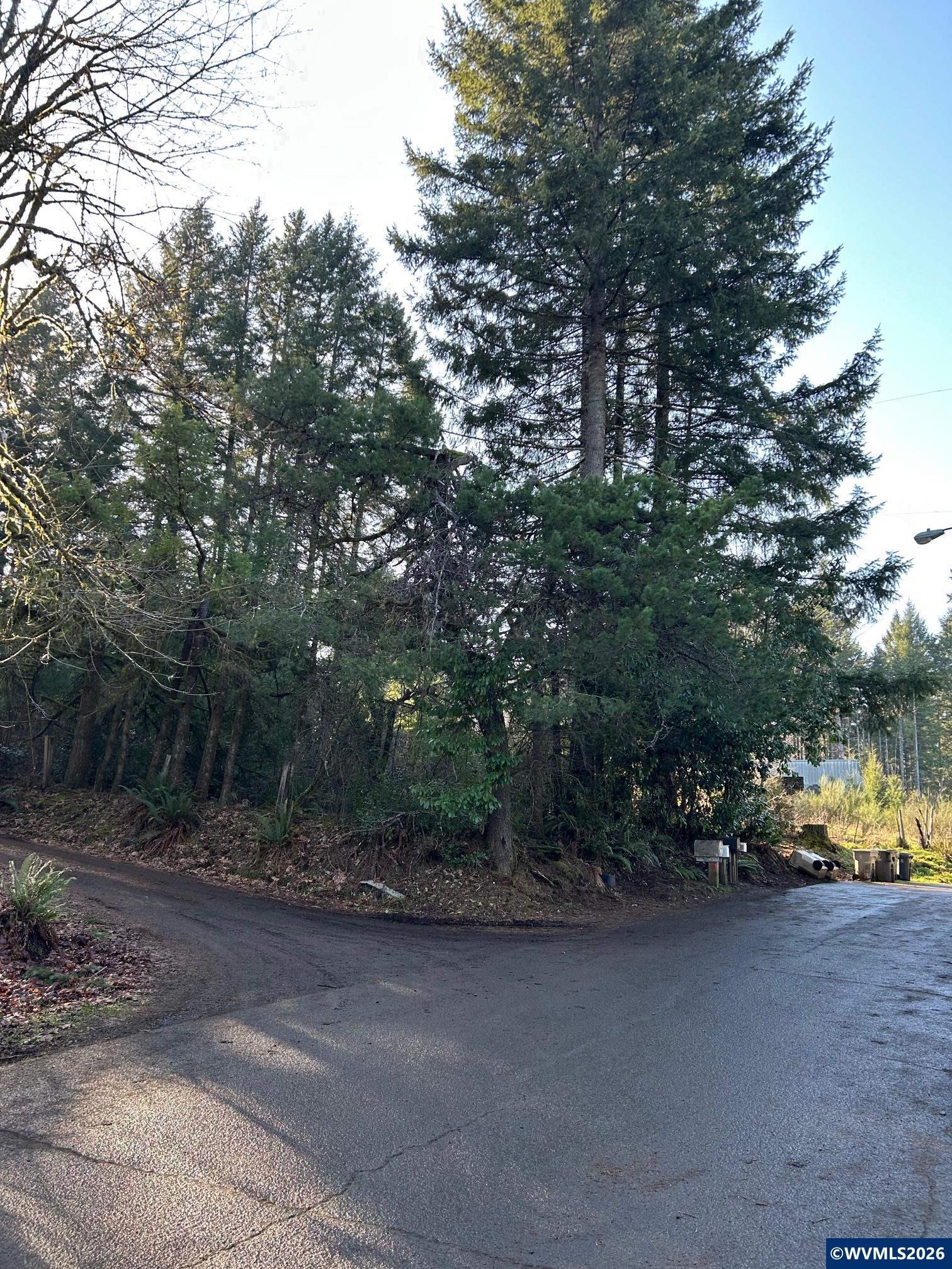 Parry Rd, Falls City, OR 97344