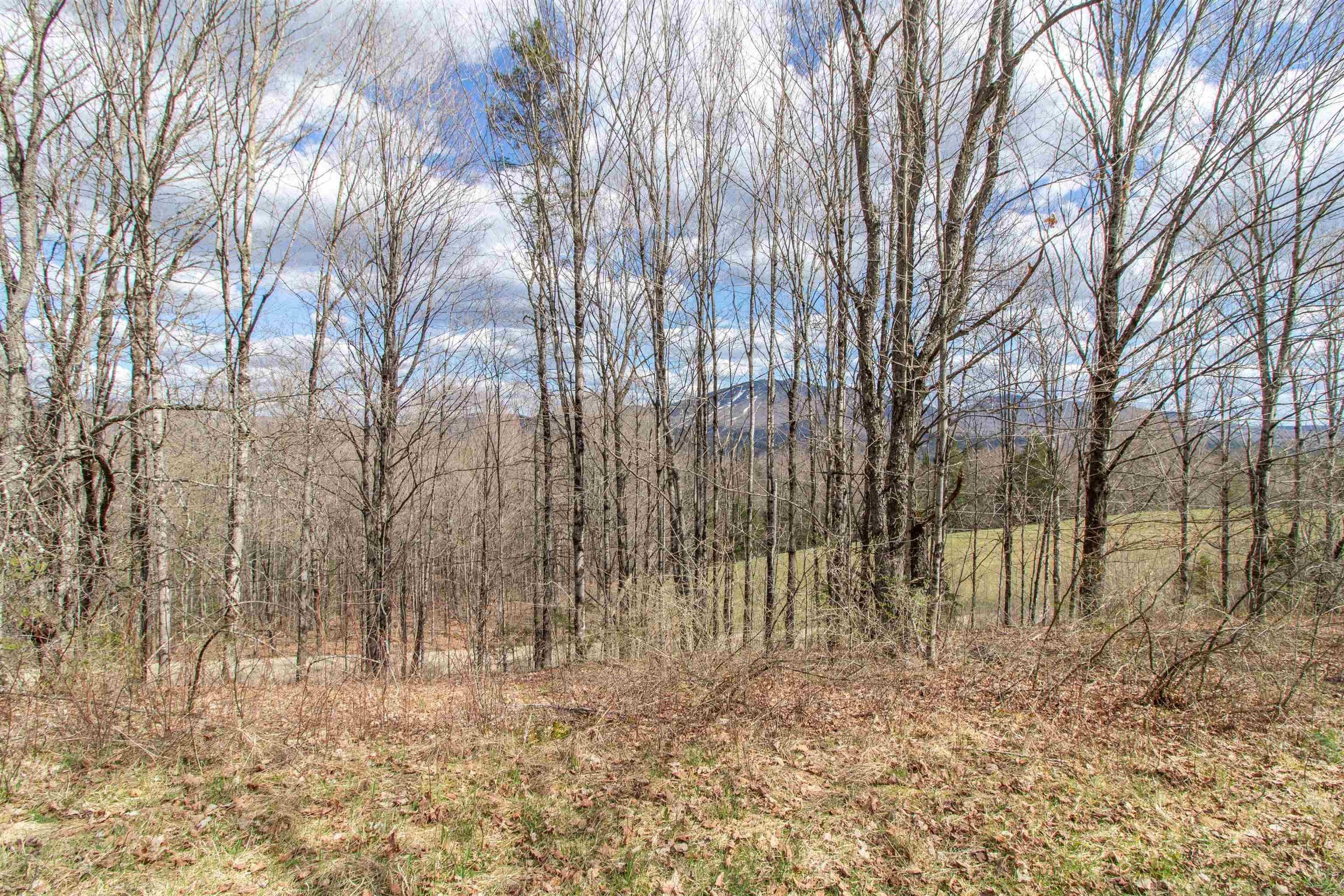 Burke, Vermont, 05832, United States, ,Land,For Sale,2041867