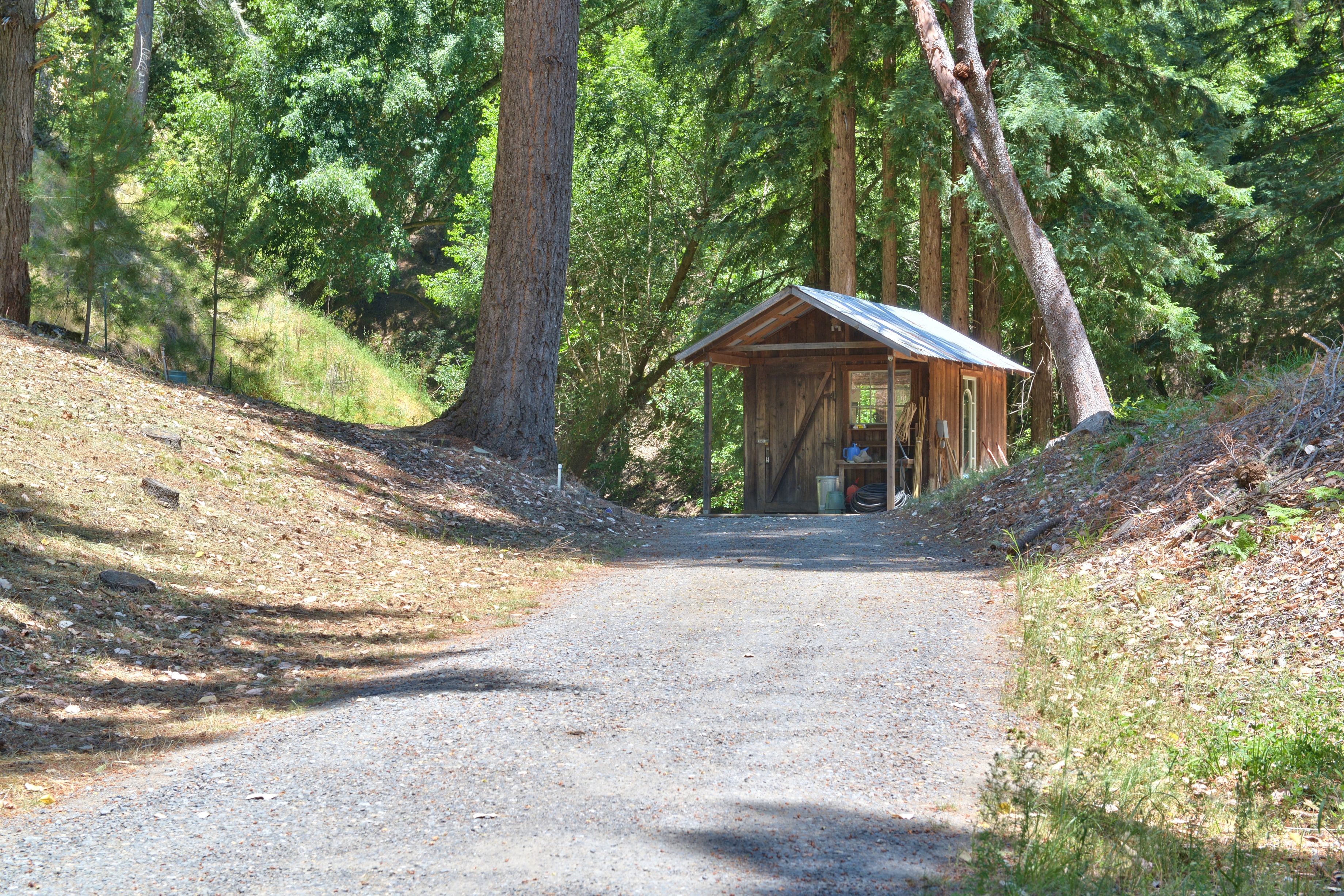  18900 Armstrong Woods Road, Guerneville, CA 95446 - 物件實景