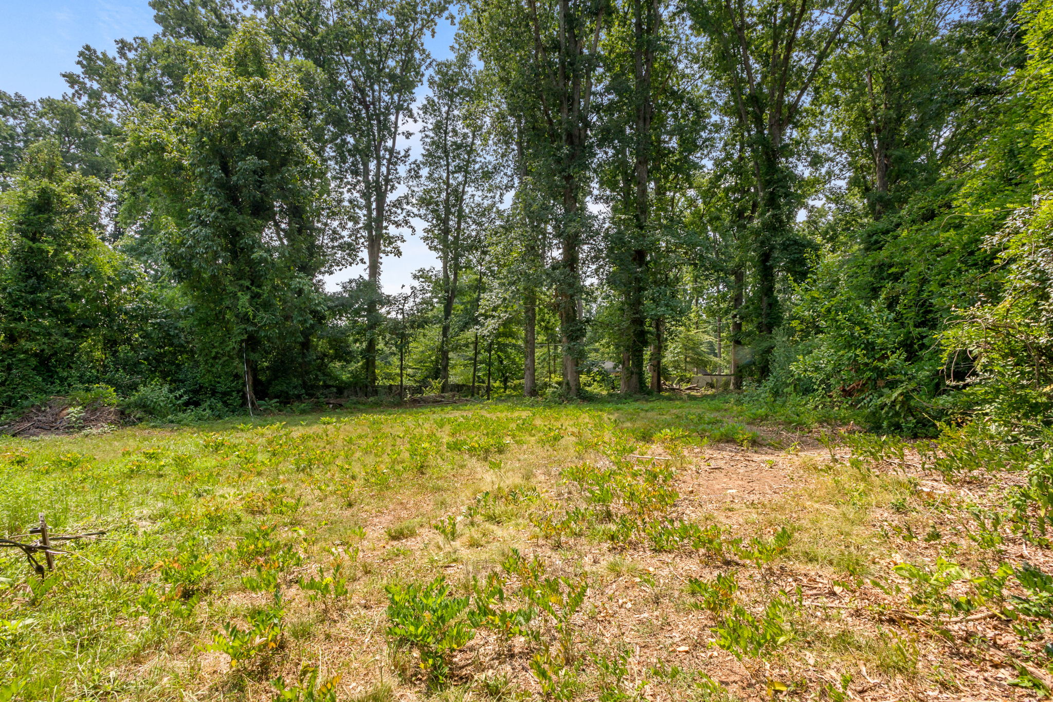  220 Riverside Drive, Greenville, SC 29605 - 物件實景