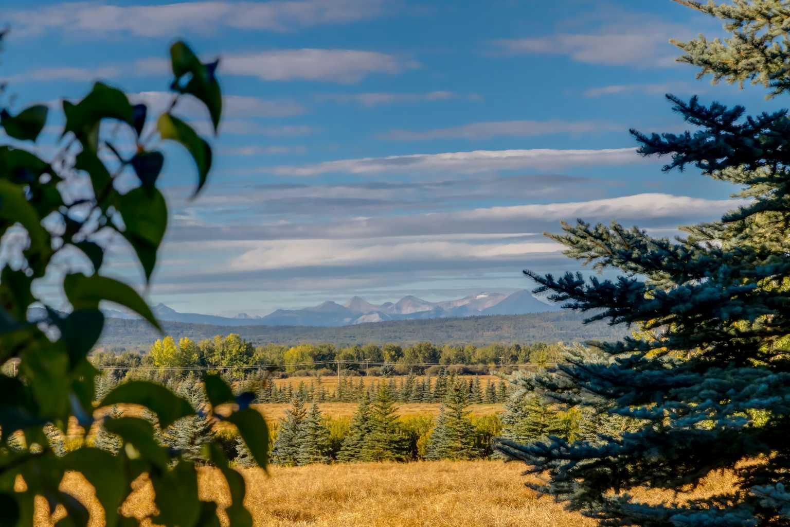 RURAL ROCKY VIEW COUNTY, Alberta, T3Z 1M8, CA, 5 Bedrooms Bedrooms, ,4 BathroomsBathrooms,Residential,For Sale,1836790