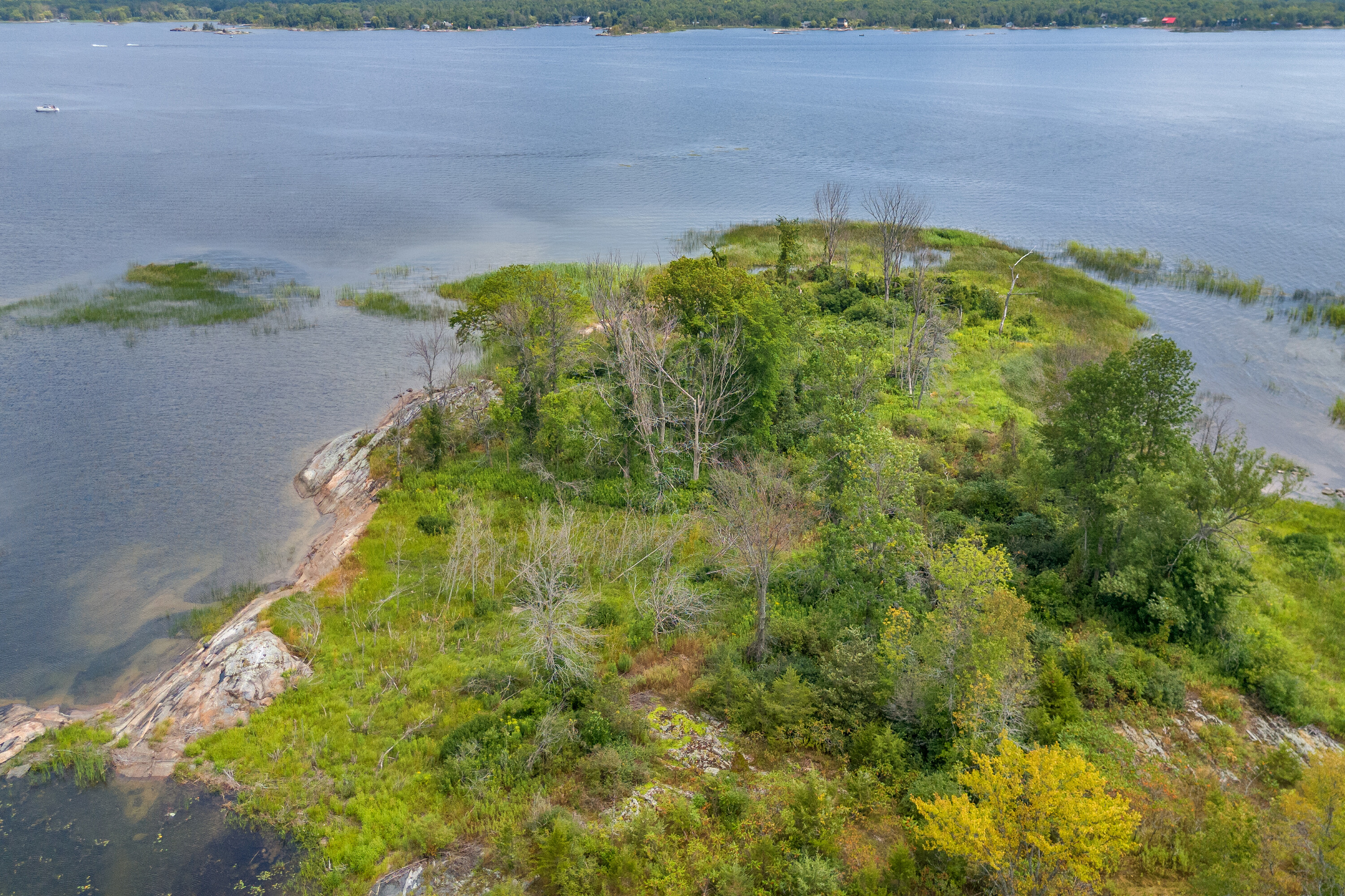  Archipelago On Georgian Bay - 物件實景