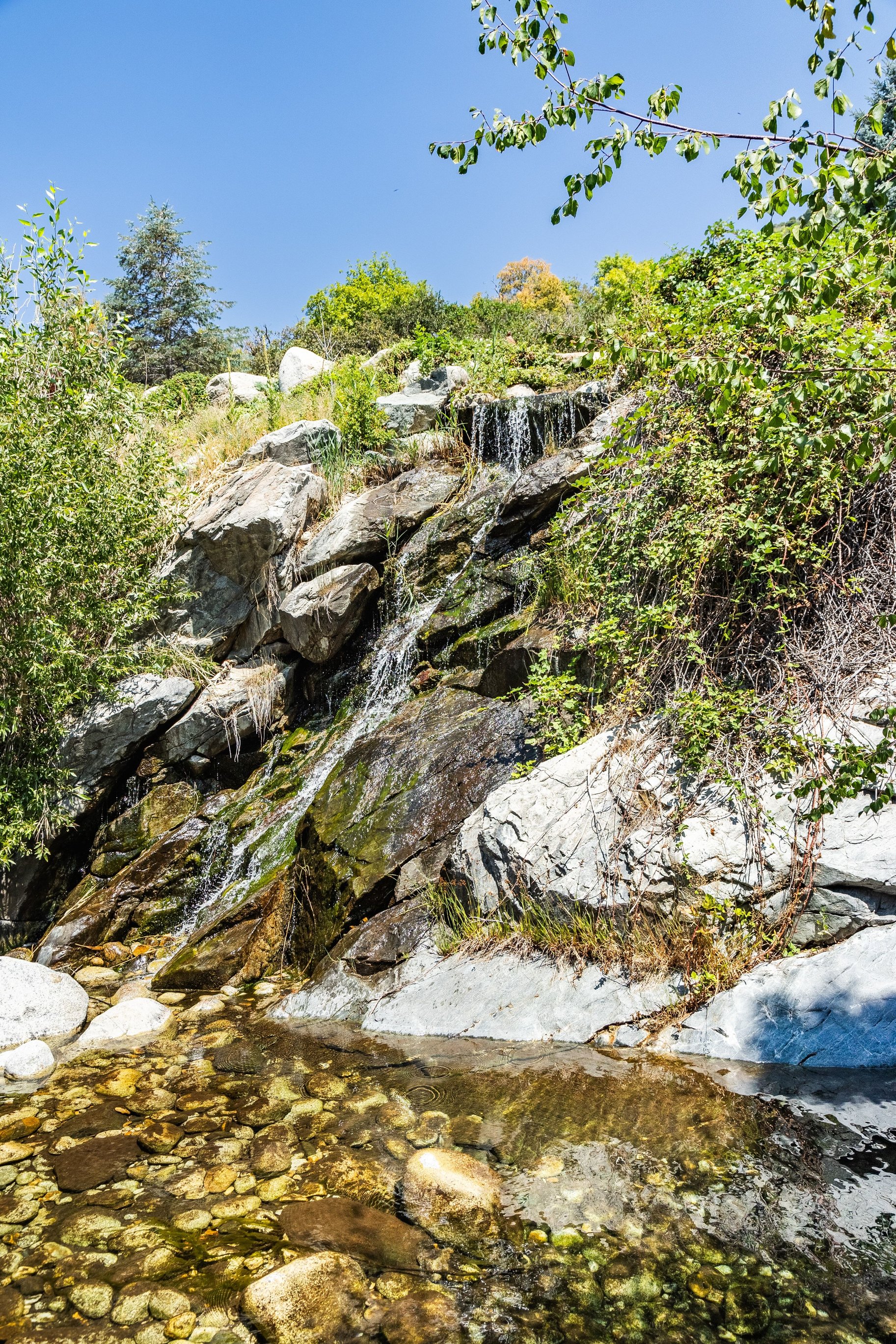  Creekside Manor, An Estate Shaped by Nature - 物件實景
