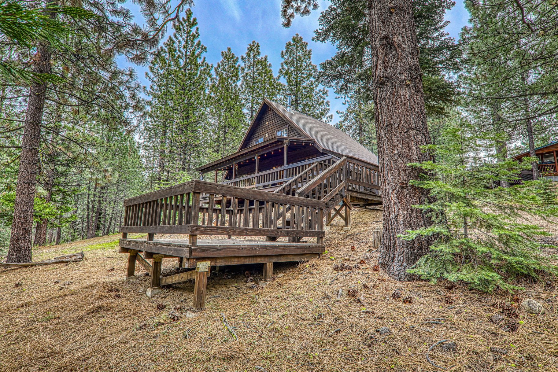  Cozy Cabin near Lake Davis - 物件實景