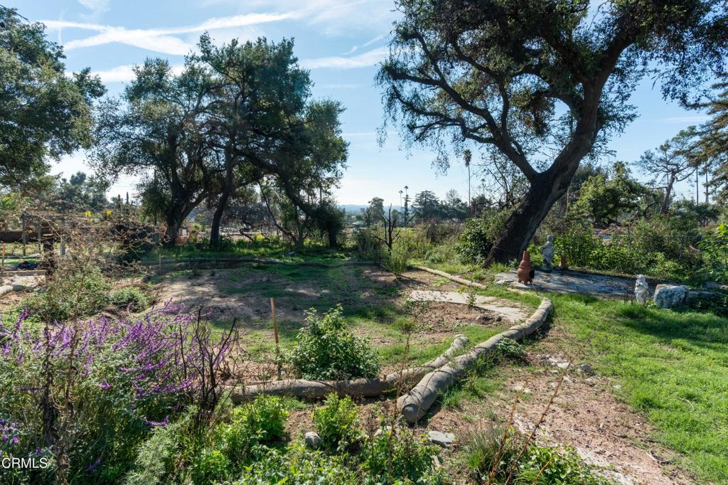 Altadena, California, 91001, United States, ,Land,For Sale,2000567