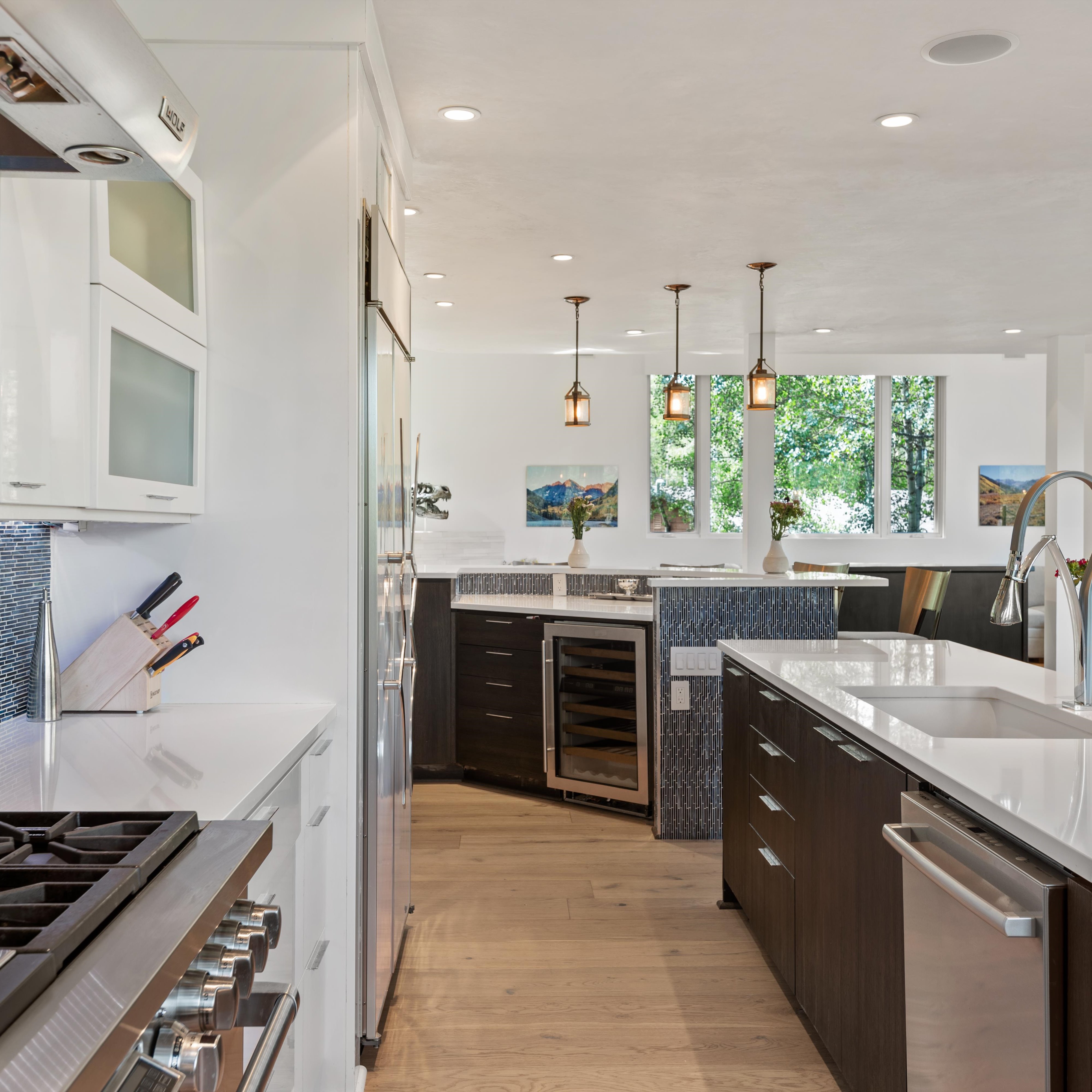  257 Mountain Laurel Drive, Aspen, CO, 81611 - 物件實景