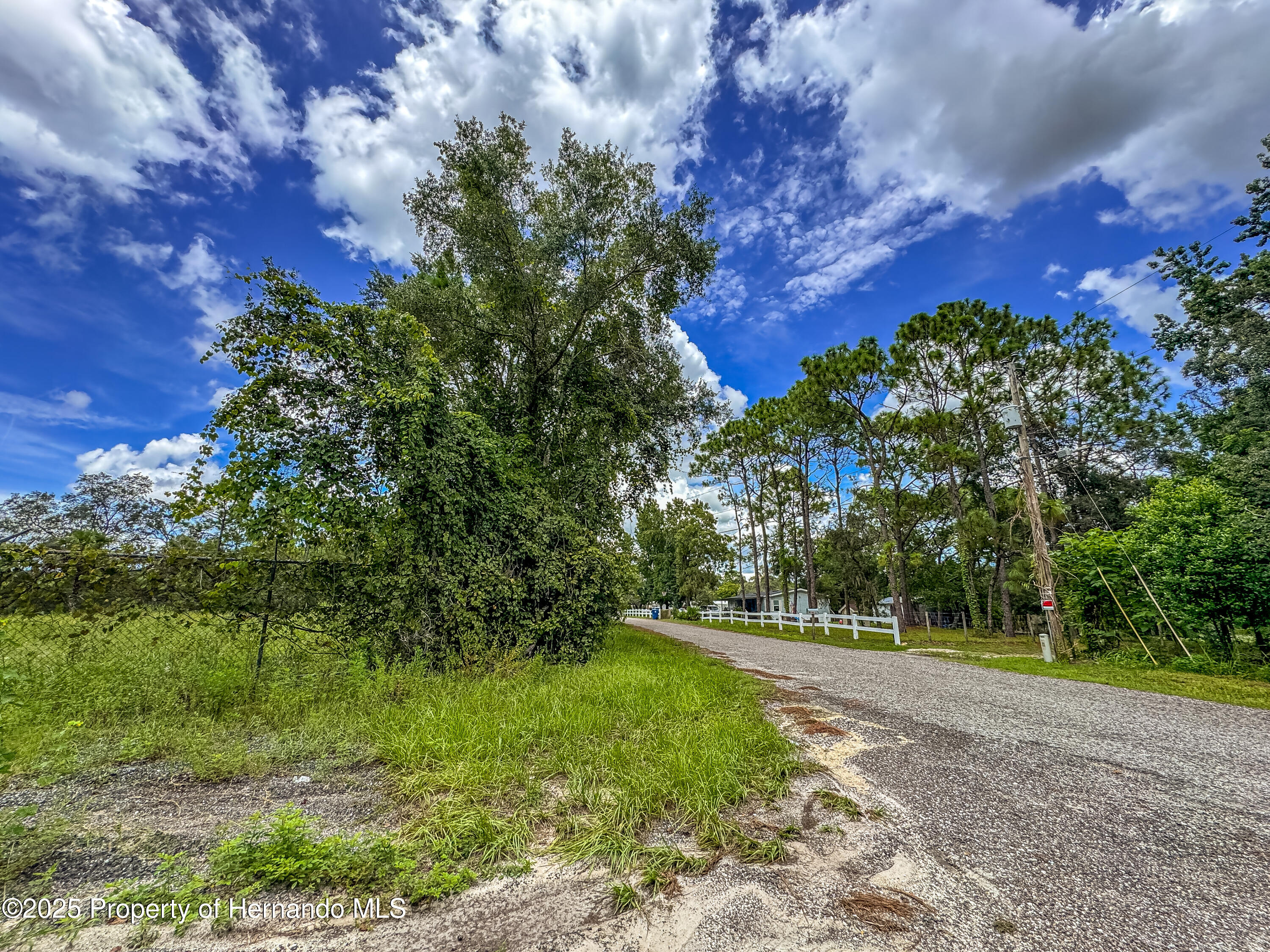 Brooksville, Florida, 34613, United States, ,Land,For Sale,1976830
