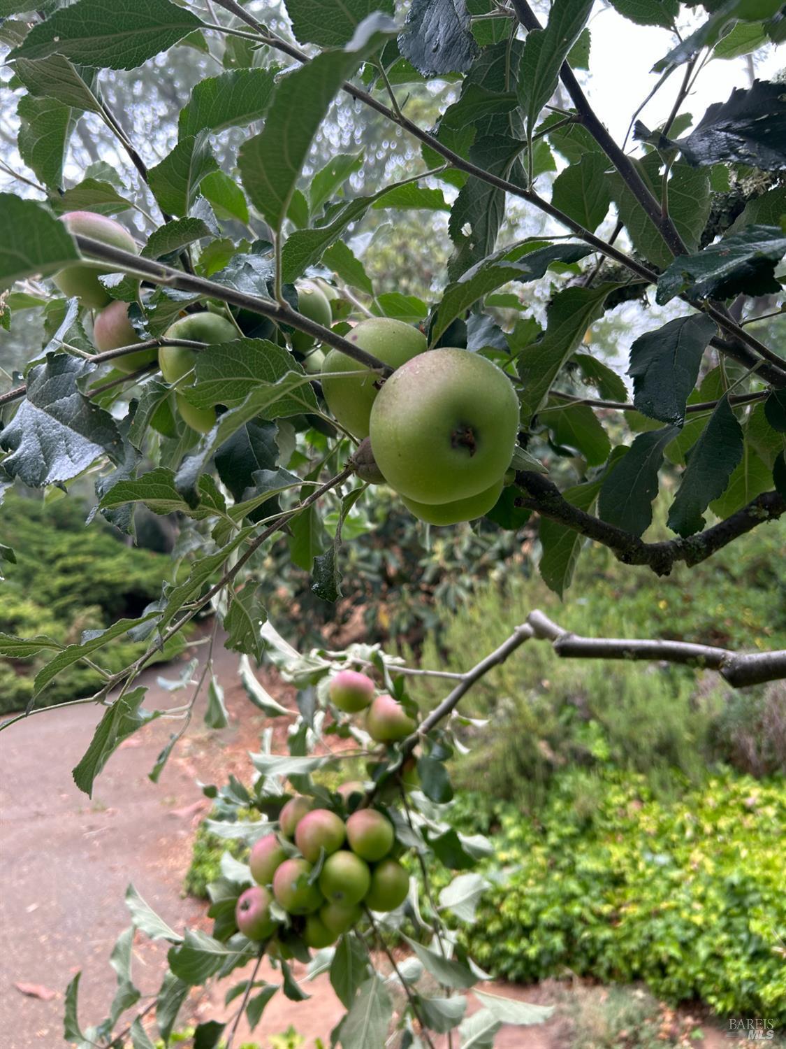 Glen Ellen, California, 95442, United States, 4 Bedrooms Bedrooms, ,3 BathroomsBathrooms,Residential,For Sale,1974615