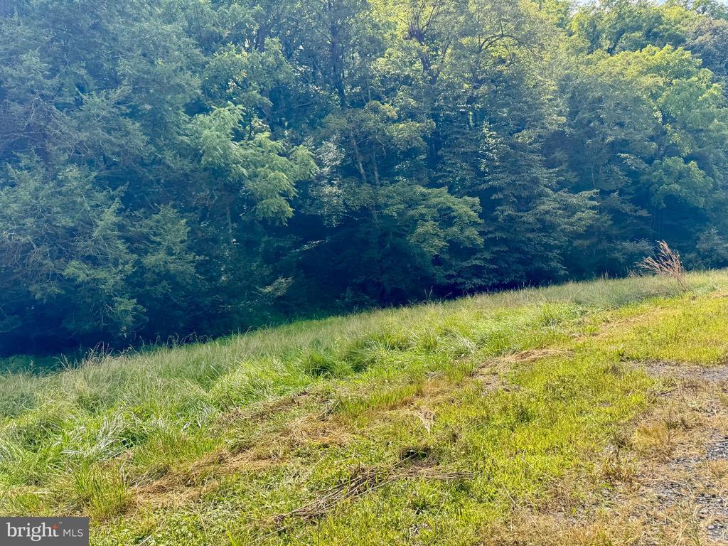 PETERSBURG, West Virginia, 26847, United States, ,Land,For Sale,1932257