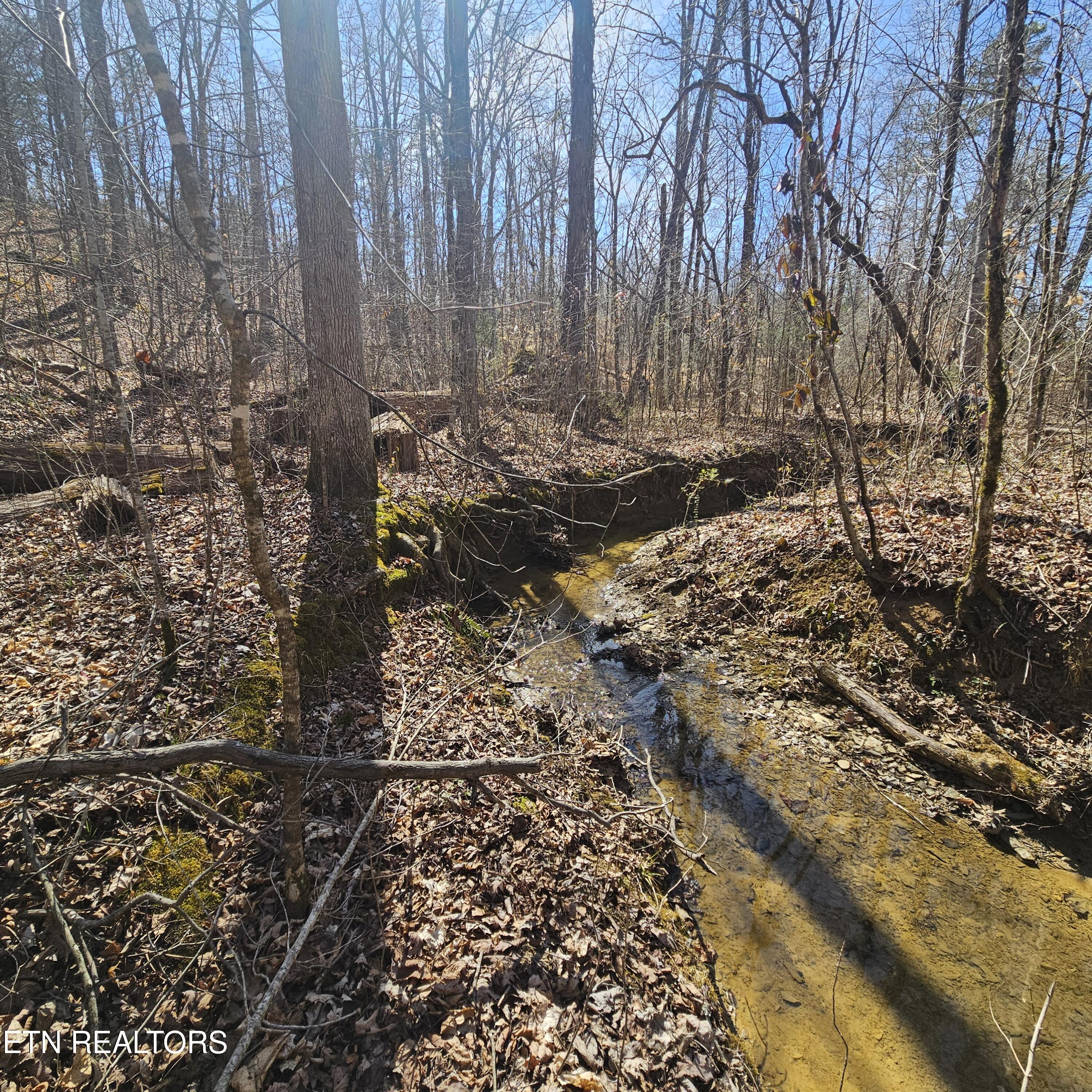 Tellico Plains, Tennessee, 37385, United States, ,Residential,For Sale,1922105