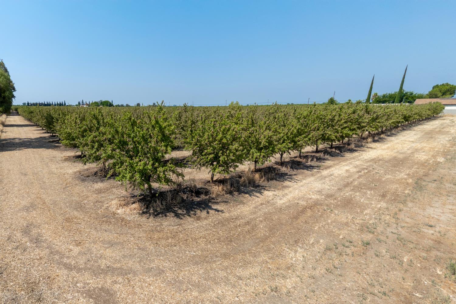 Live Oak, California, 95953-9845, United States, ,Residential,For Sale,1897081