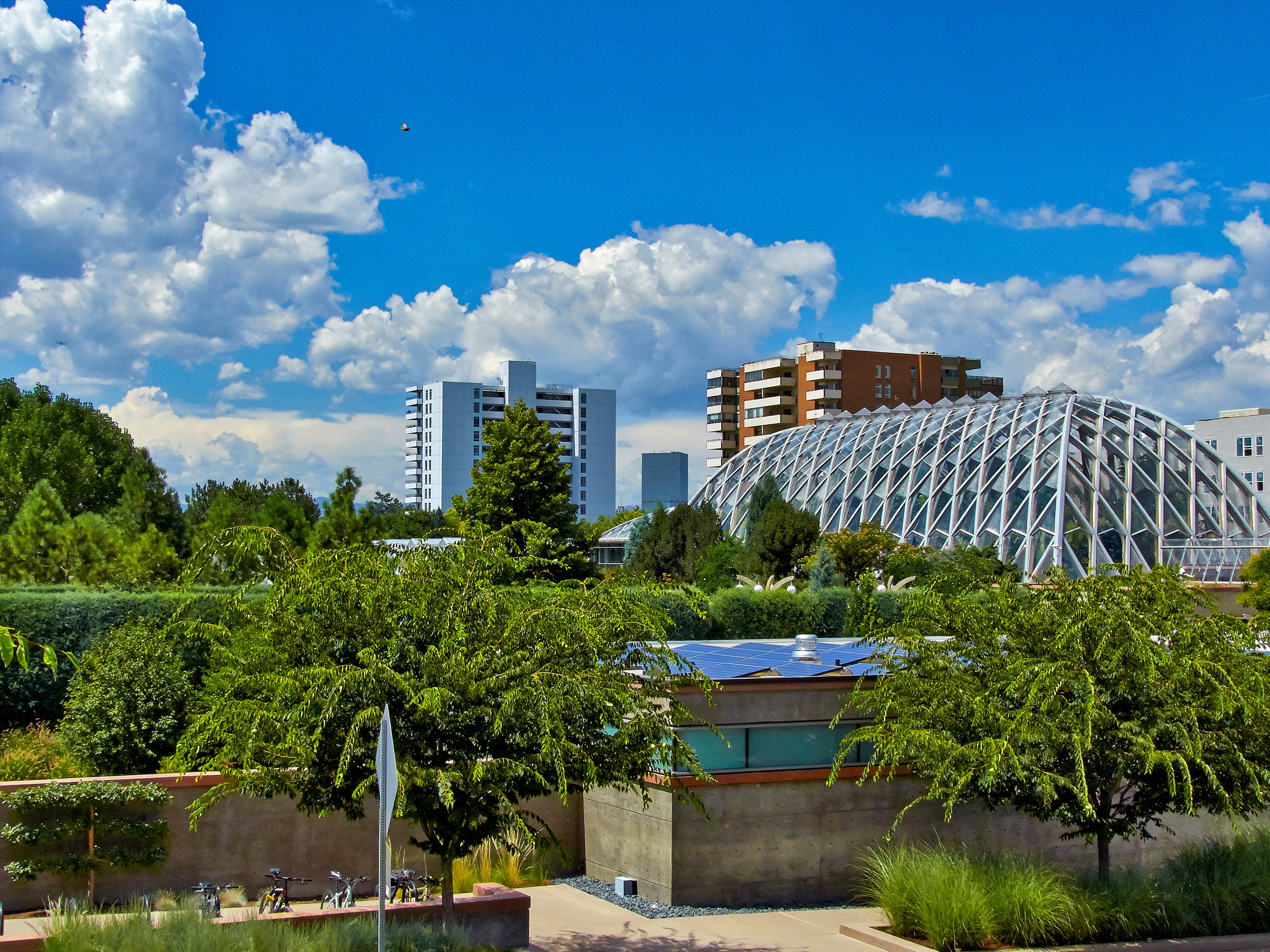  Welcome to this beautiful Victorian gem in the heart of Congress Park - 物件實景