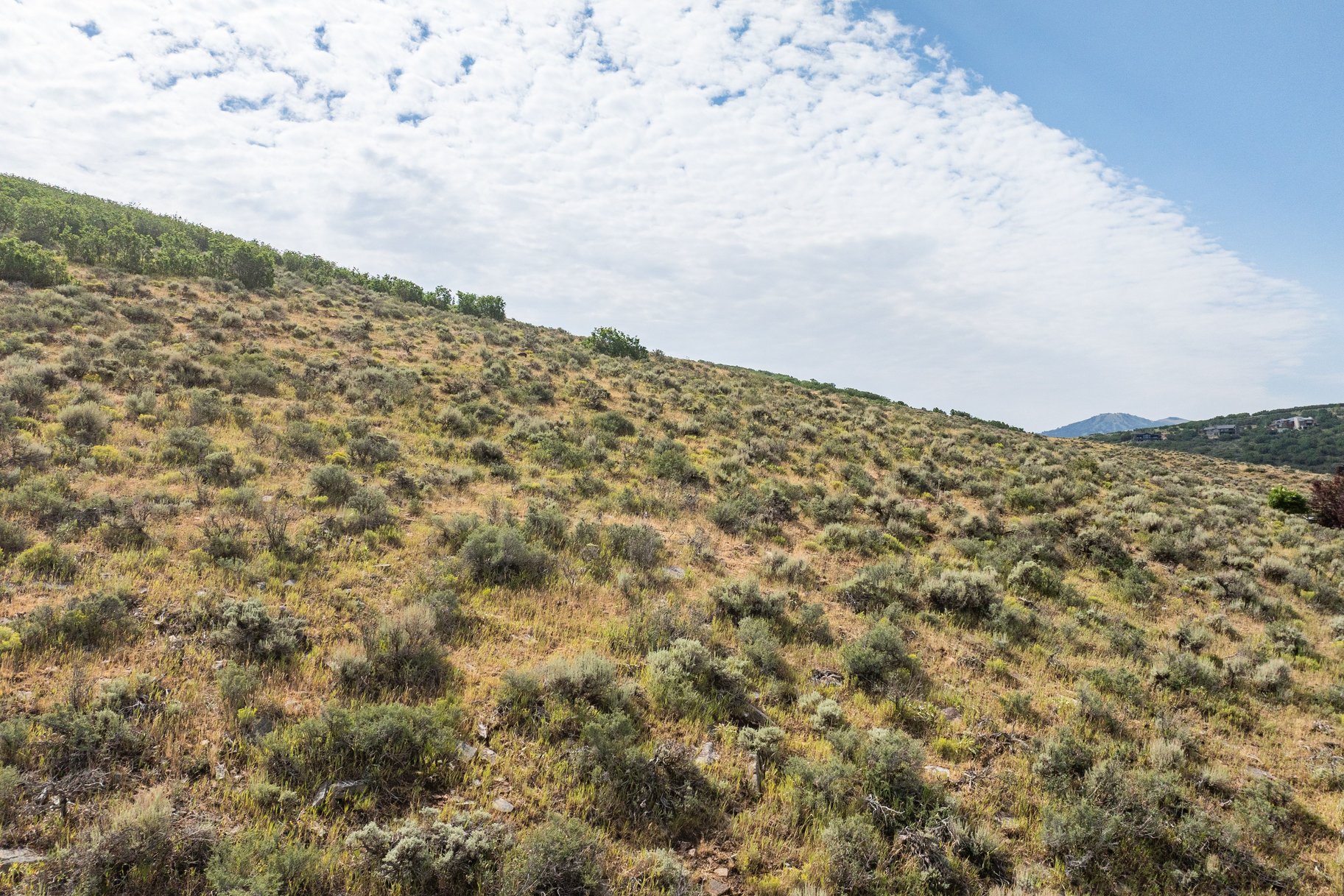  A Rare Old Ranch Road Homesite with Panoramic Ski Mountain Views - 物件實景