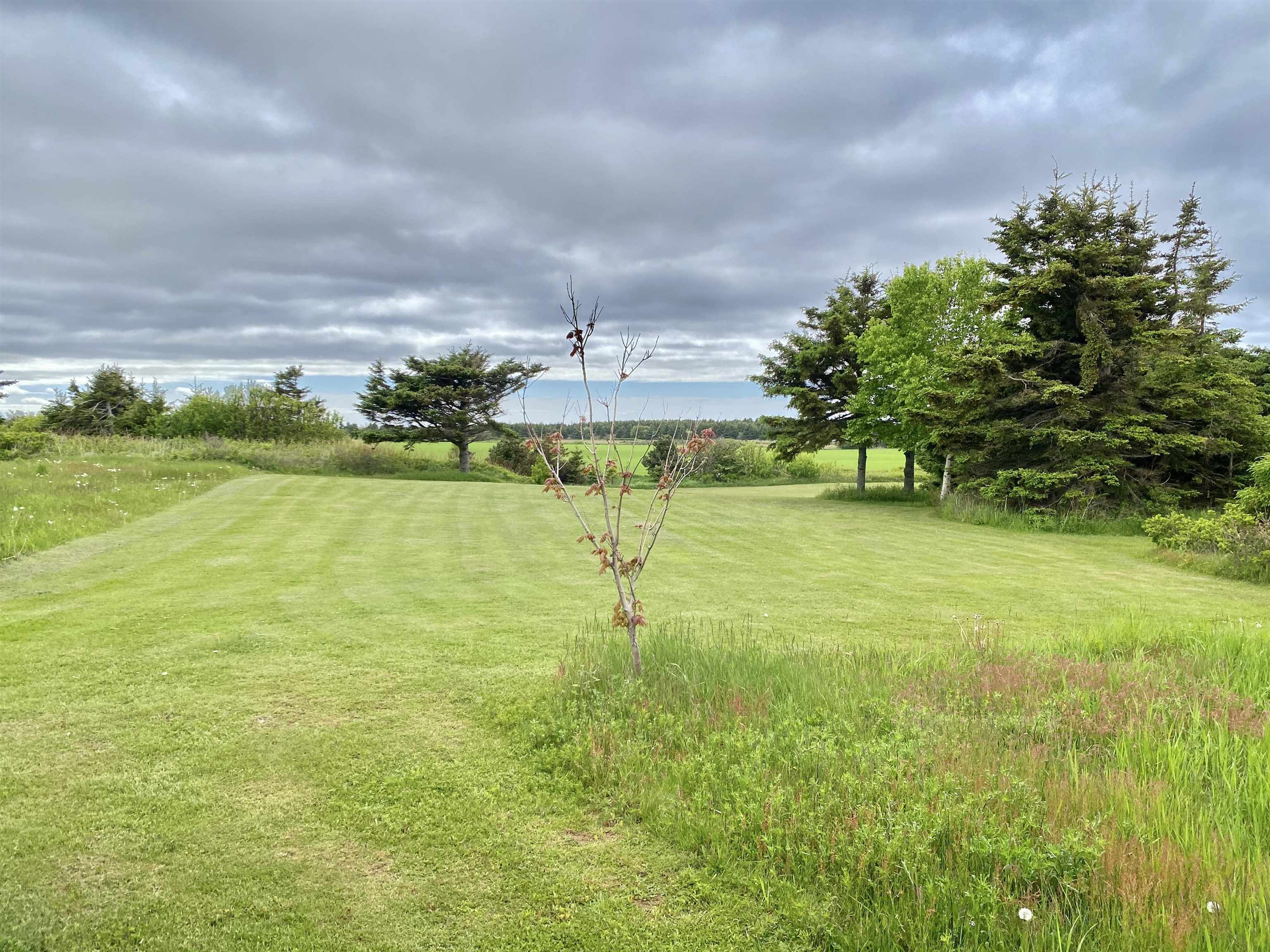 CAVENDISH, Prince Edward Island, C0A 1N0, CA, 2 Bedrooms Bedrooms, ,2 BathroomsBathrooms,Residential,For Sale,1874335