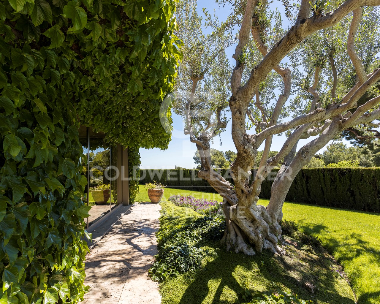 Barcelona, Barcelona, Les Corts, Pedralbes Barcelo, Barcelona, Catalonia, ES, 5 Bedrooms Bedrooms, ,2 BathroomsBathrooms,Residential,For Sale,Barcelona, Barcelona, Les Corts, Pedralbes Barcelo,1531917