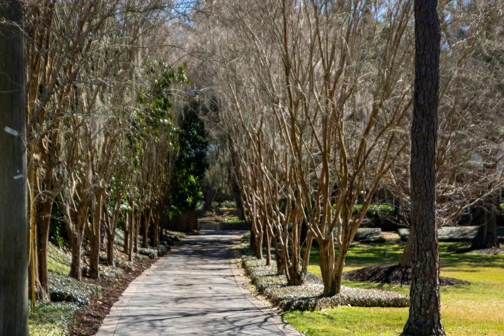  1814 Highland Drive, Fernandina Beach, FL, 32034 - 物件實景