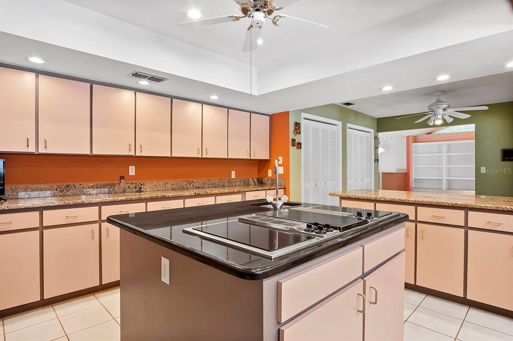 Weeki Wachee, Florida, 34607, United States, 4 Bedrooms Bedrooms, ,5 BathroomsBathrooms,Residential,For Sale,2009705