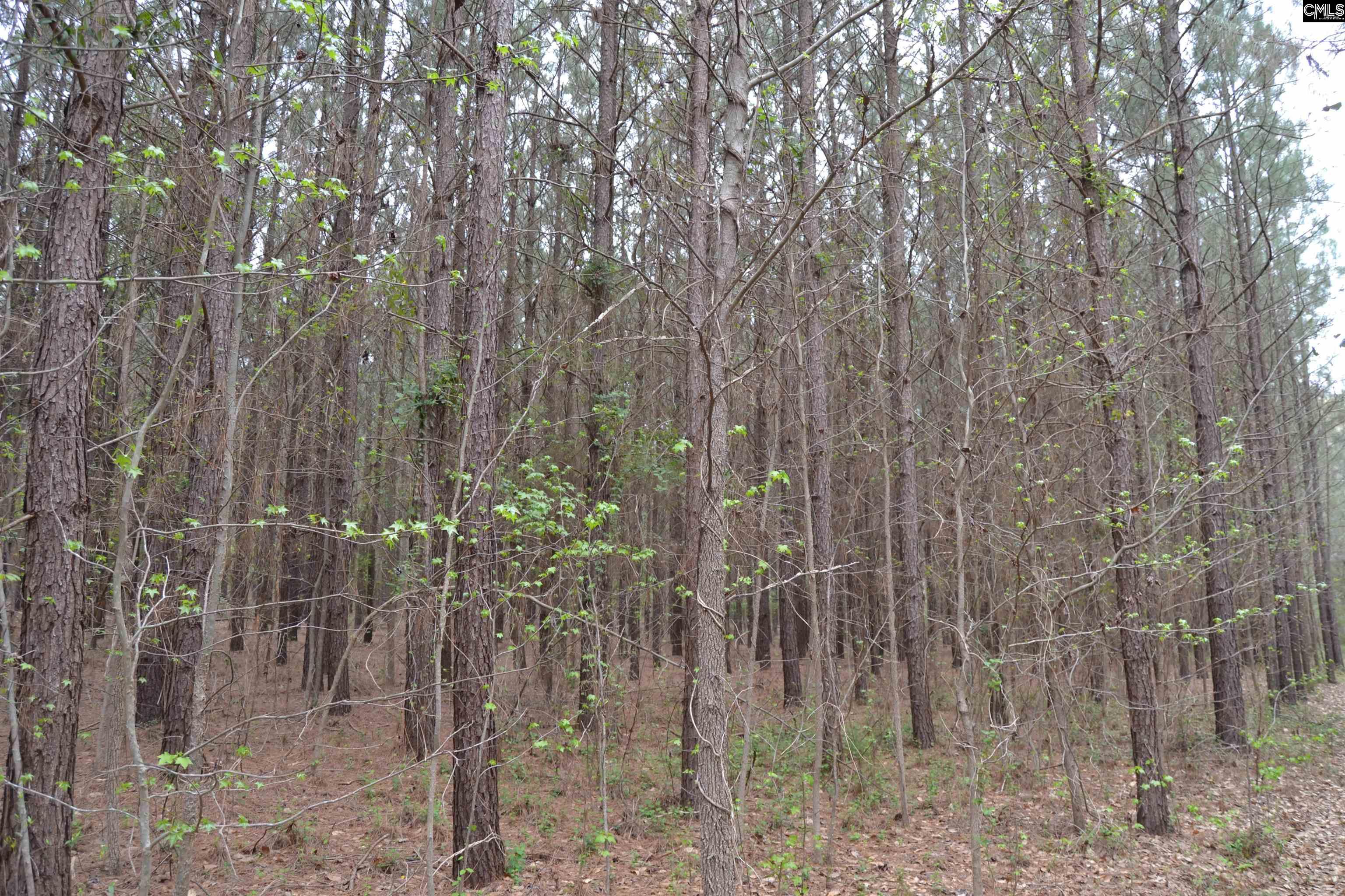  1309 Farming Creek Road  Irmo, South Carolina - 物件實景