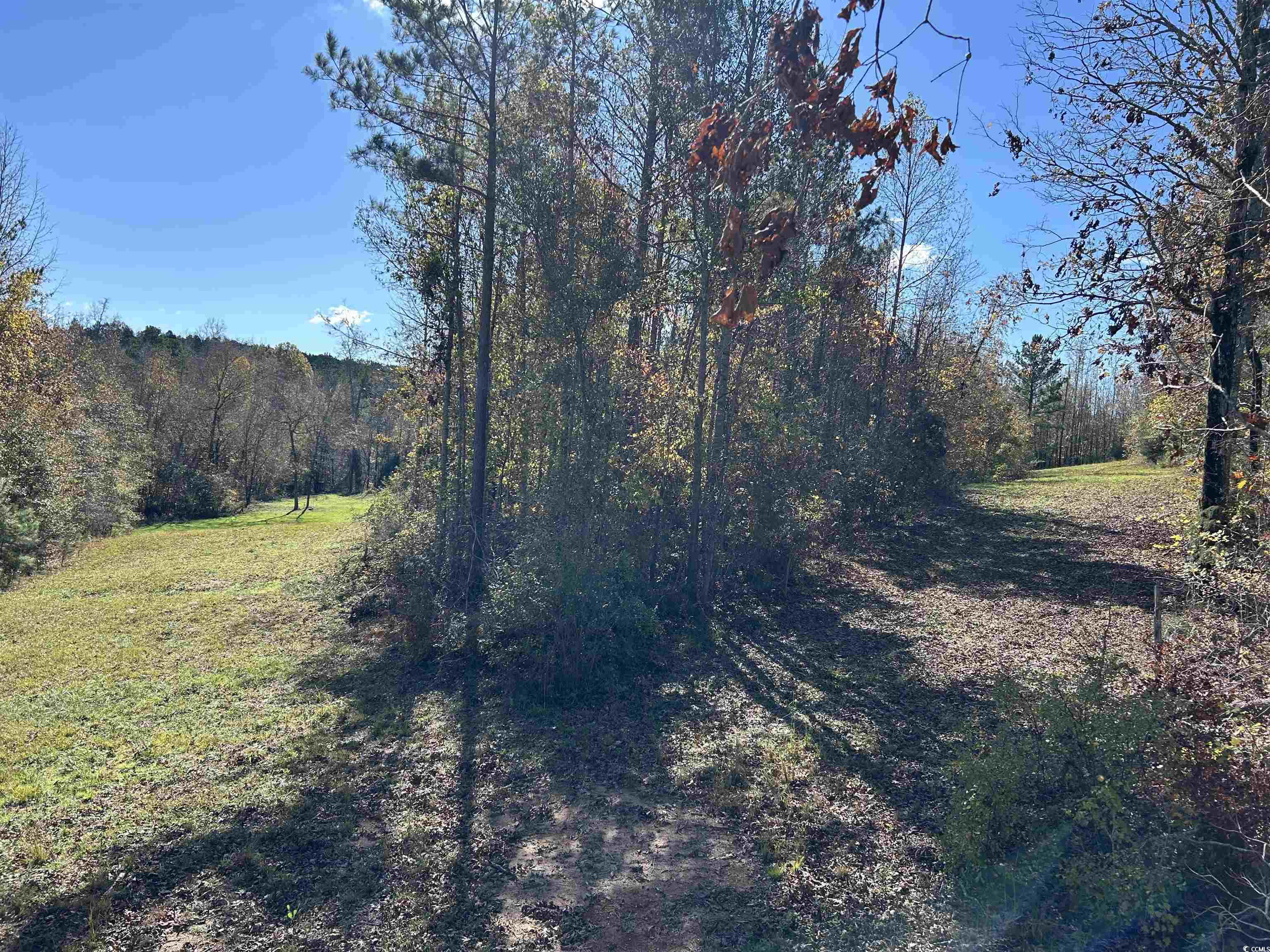  TBD River Fork Rd - 物件實景