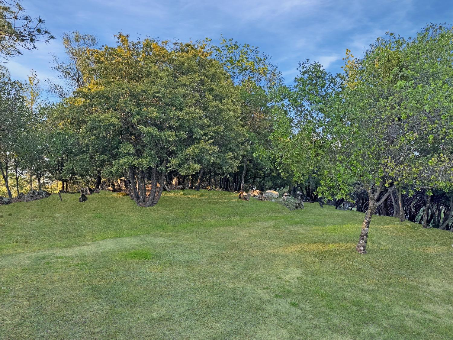 Nevada City, California, 95959, United States, 5 Bedrooms Bedrooms, ,4 BathroomsBathrooms,Residential,For Sale,1994269