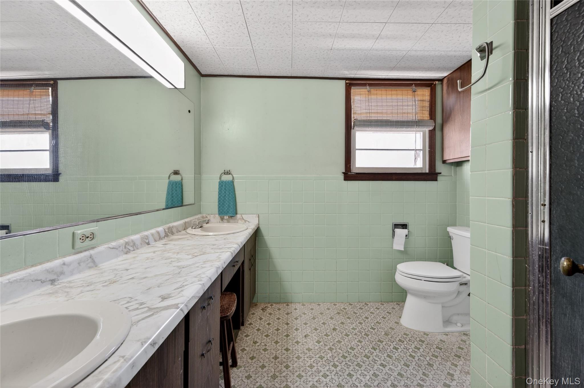  160 Albermarle Avenue, Valley Stream, NY, 11580 - 物件實景