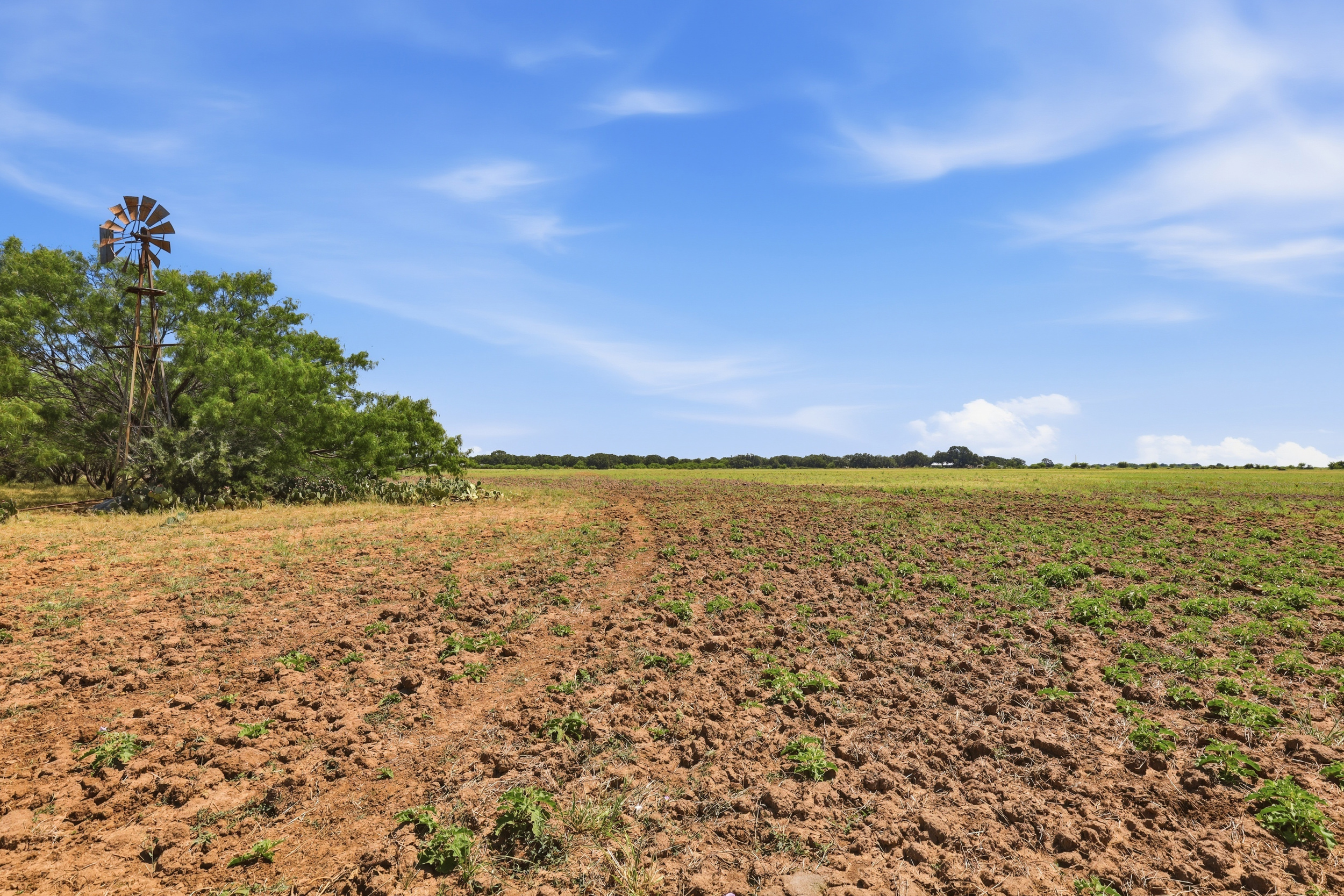  125 Acres of Texas Land for Recreation and Retreat - 物件實景