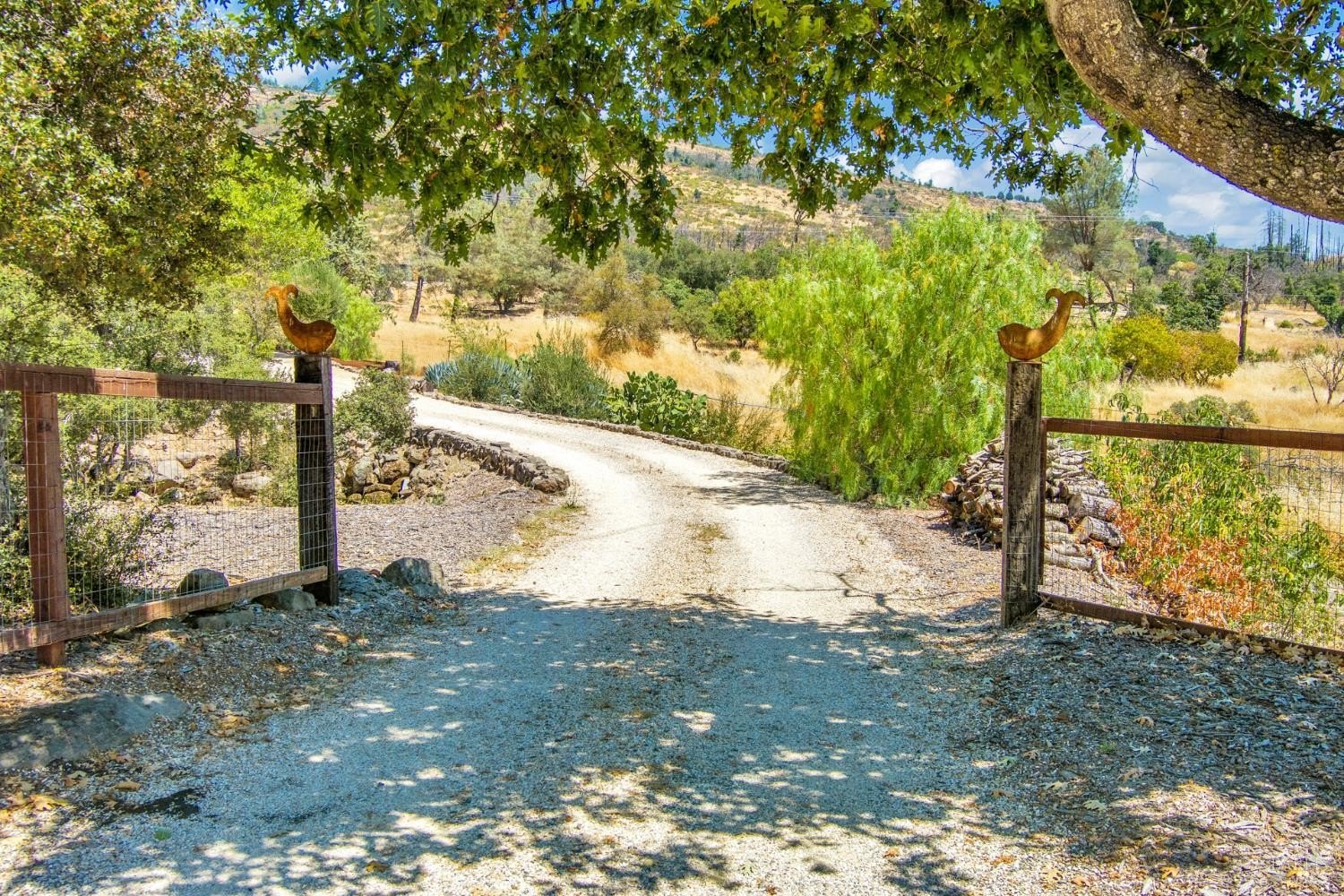 St. Helena, California, 94574, United States, 3 Bedrooms Bedrooms, ,2 BathroomsBathrooms,Residential,For Sale,1906770