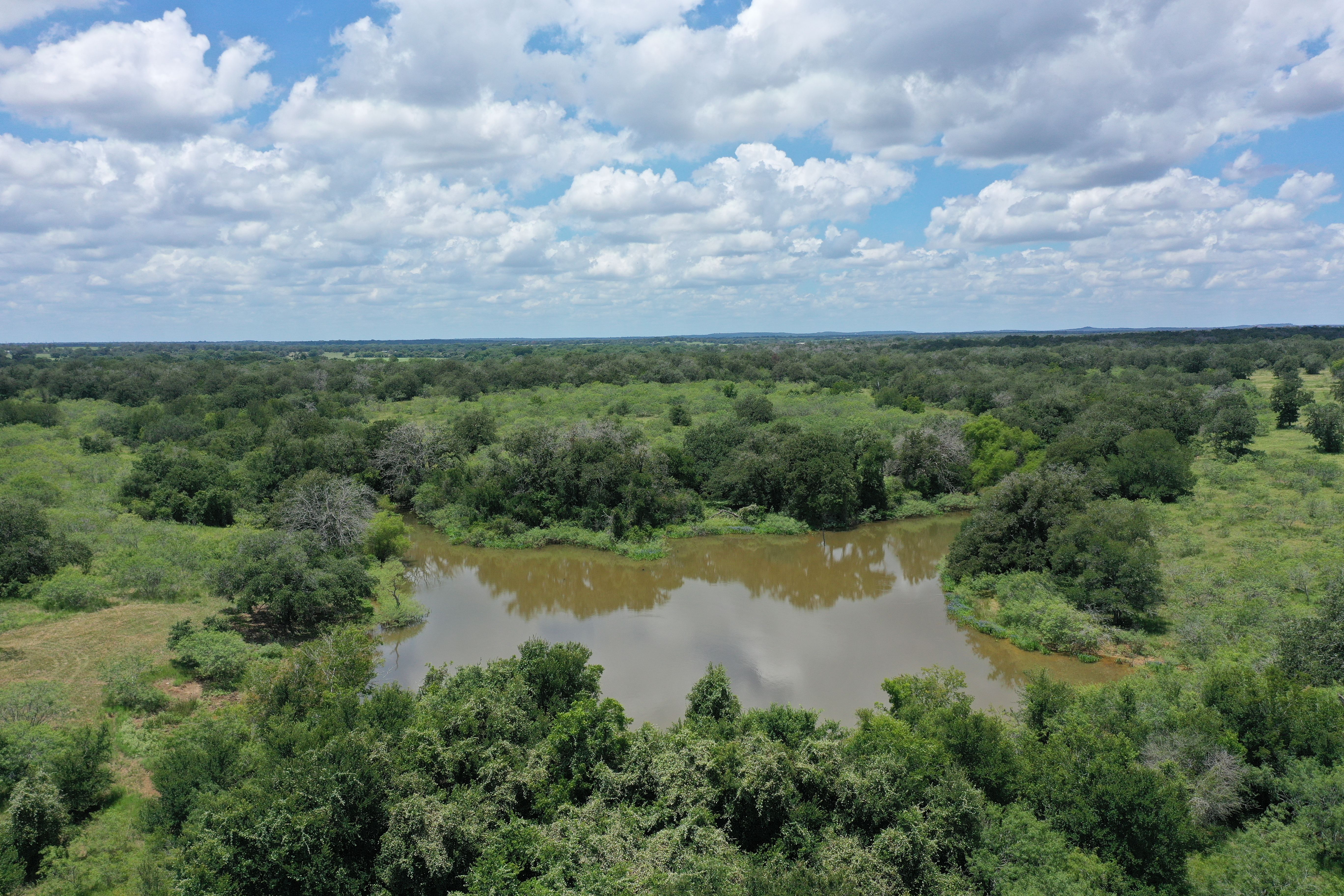 Buck Branch Ranch - 物件實景