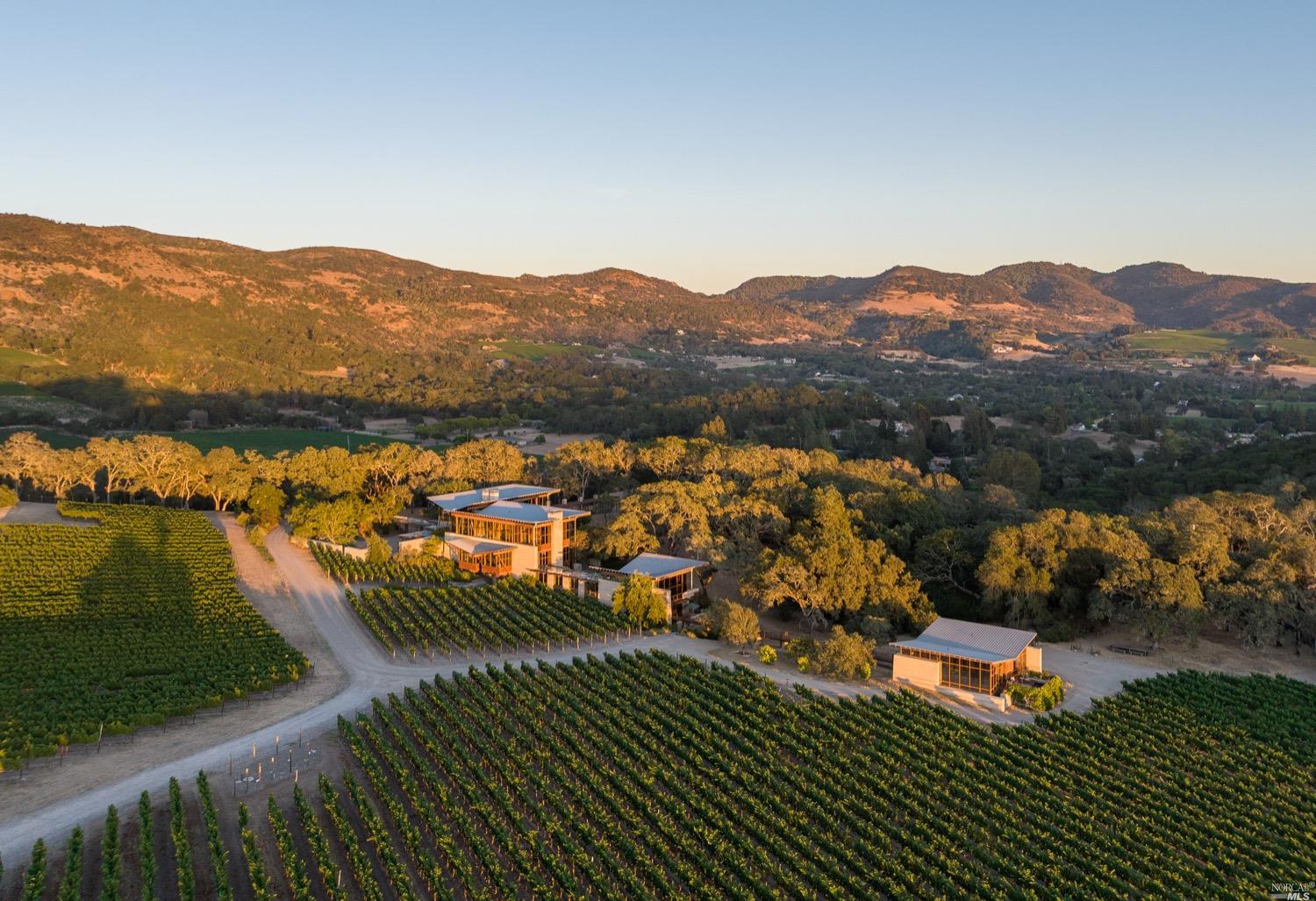 Napa, California, 94558, United States, 7 Bedrooms Bedrooms, ,11 BathroomsBathrooms,Residential,For Sale,1766970