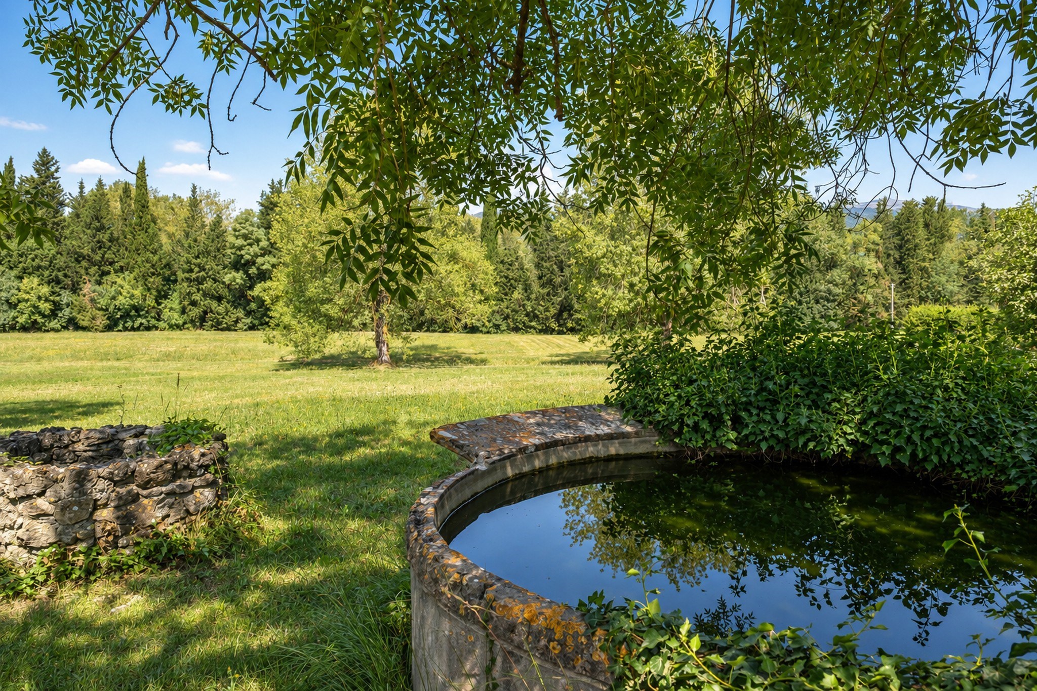  Châteauneuf-Grasse historic stone farmhouse estate with 3 hectares land, pool a… - 物件實景