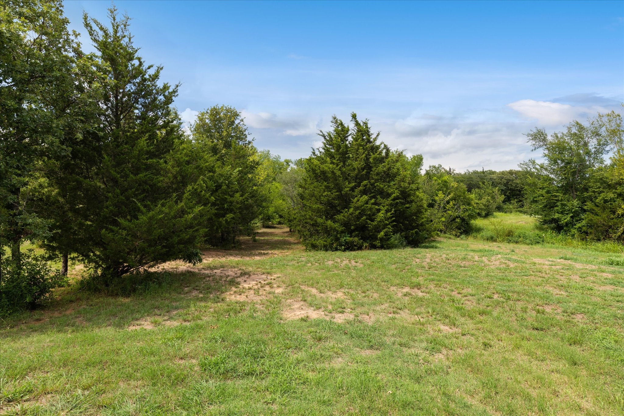 Bowie, Texas, 76230, United States, 4 Bedrooms Bedrooms, ,4 BathroomsBathrooms,Residential,For Sale,1895366