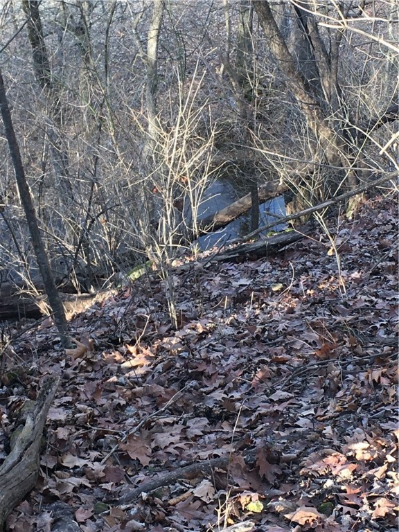 821 Puppy Creek Road, Lowell, Arkansas, 72745, United States, ,Land,For Sale,821 Puppy Creek Road,1673230