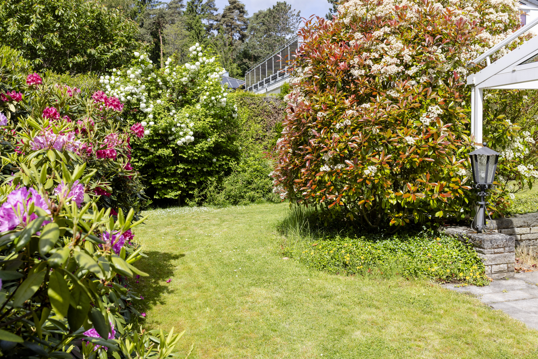  Well-maintained single-family home with character and plenty of potential - 物件實景