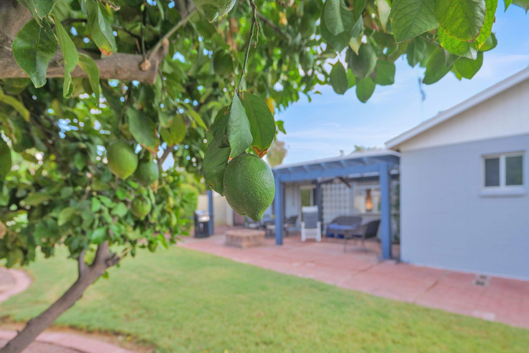 4826 E Fairmount Avenue¦Phoenix, AZ - 物件實景