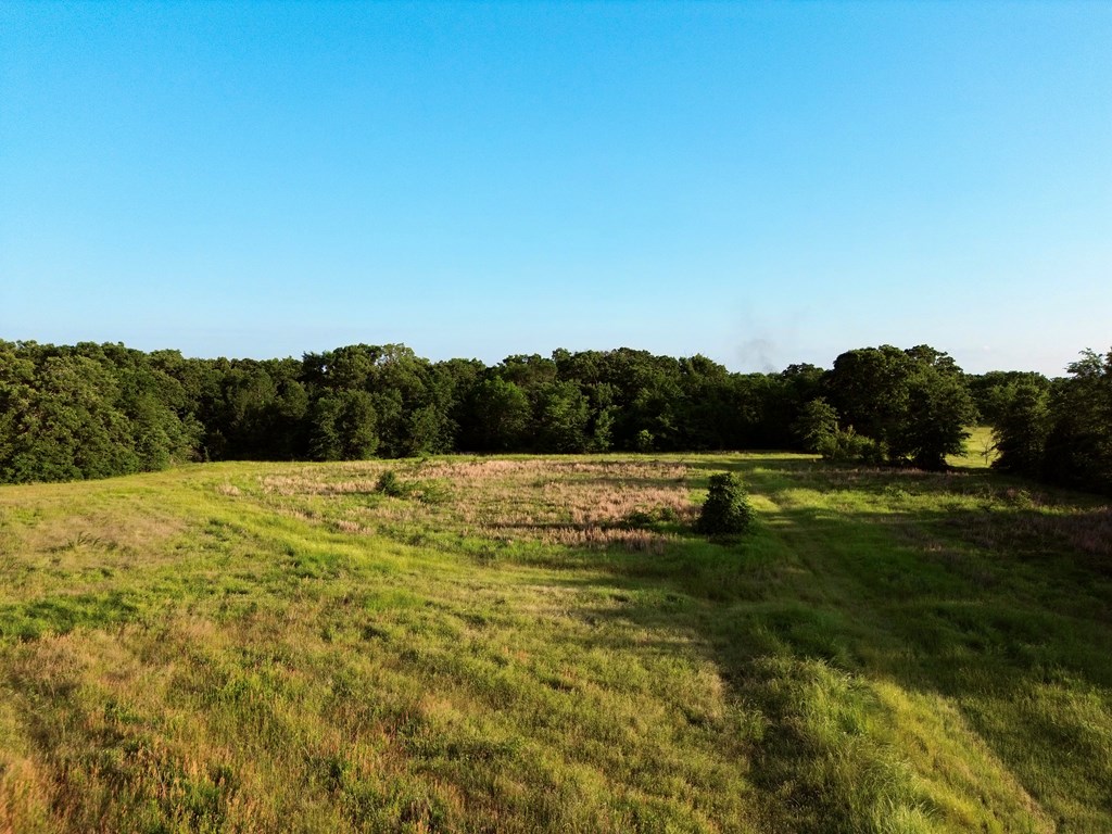 Mabank, Texas, 75147, United States, ,Land,For Sale,1807639