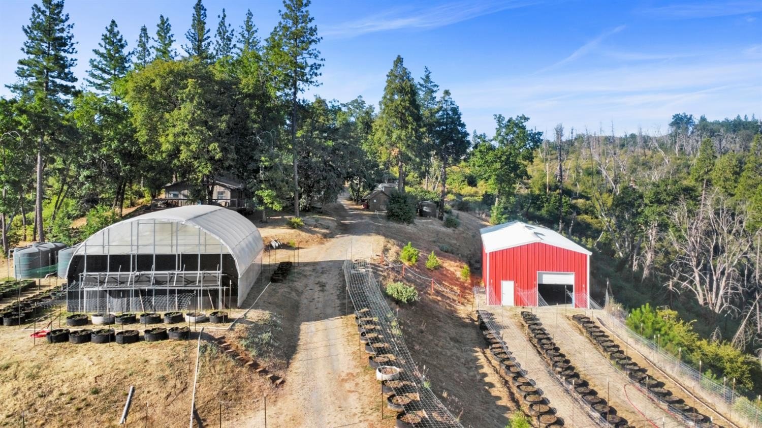 Mountain Ranch, California, 95246, United States, ,Land,For Sale,1981446