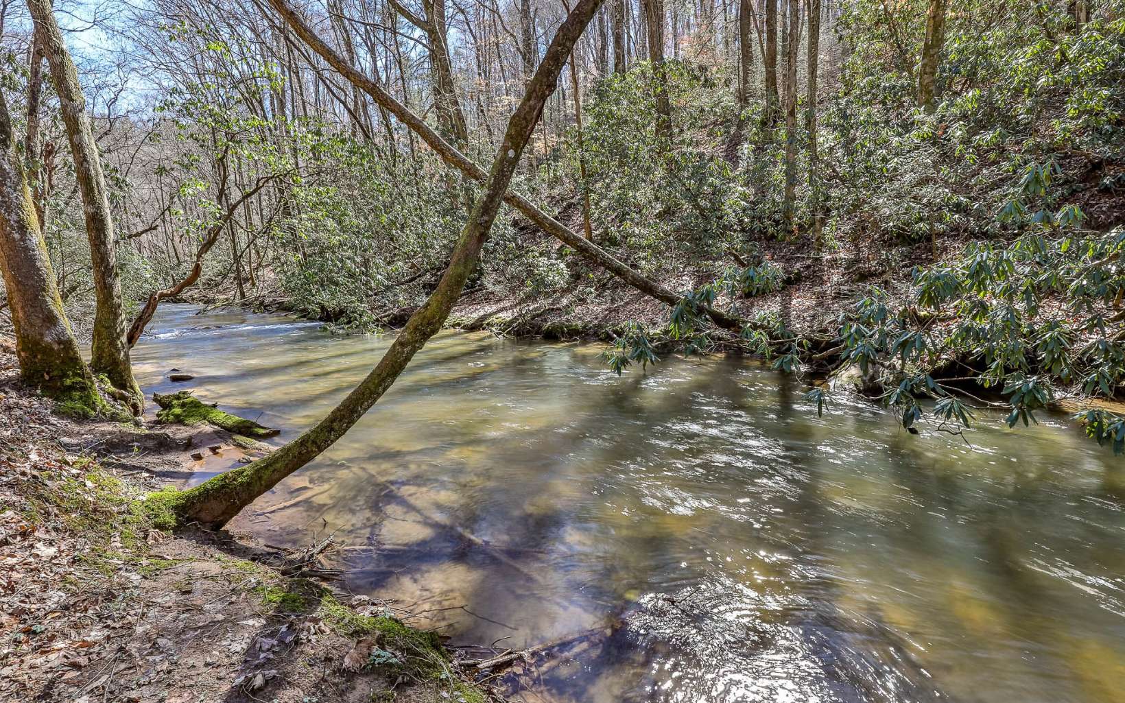 272 Creekside Landing, Ellijay, Georgia, 30540, United States, 3 Bedrooms Bedrooms, ,3 BathroomsBathrooms,Residential,For Sale,272 Creekside Landing,1231806