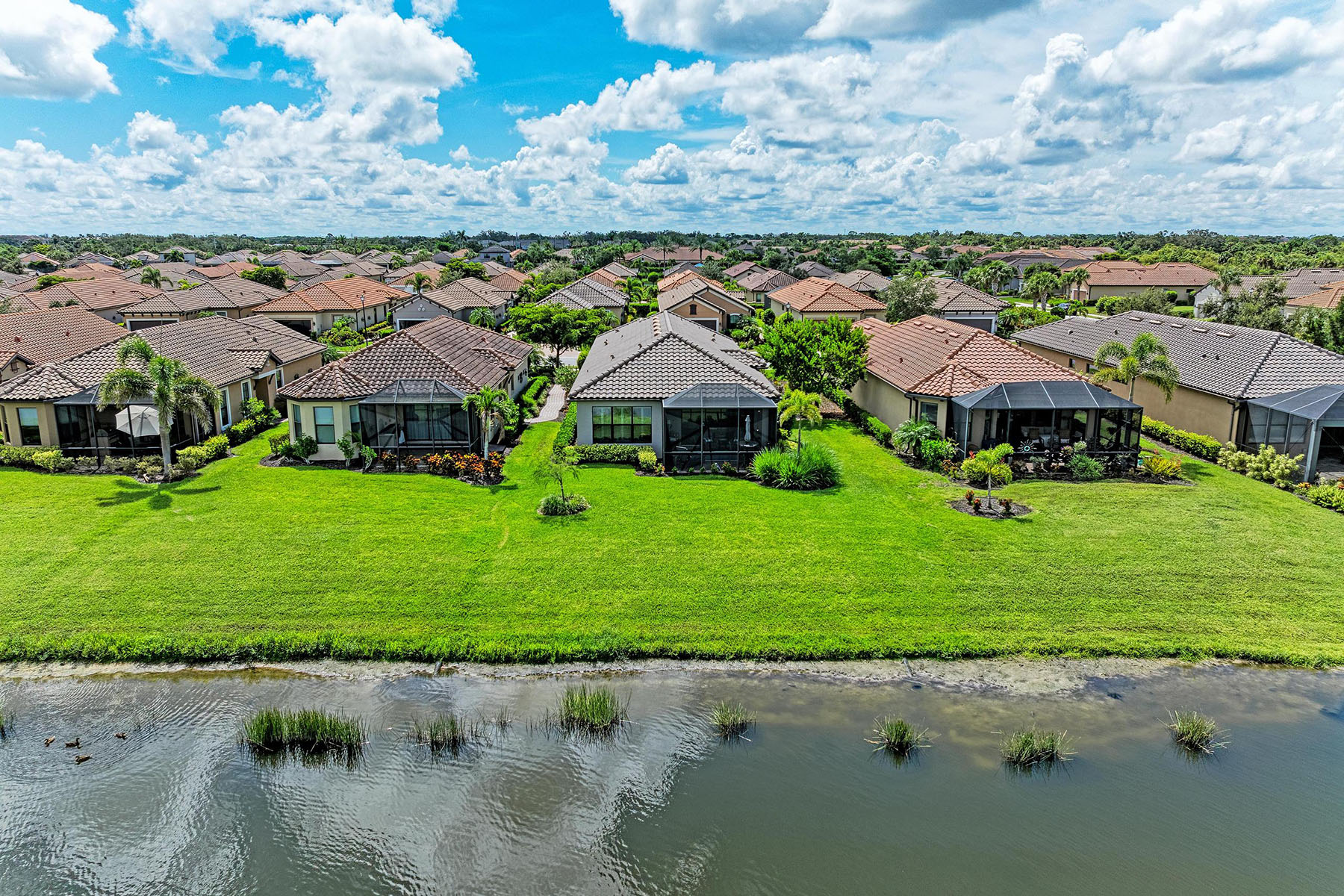  COBBLESTONE/PALMER RANCH PH 2 - 物件實景