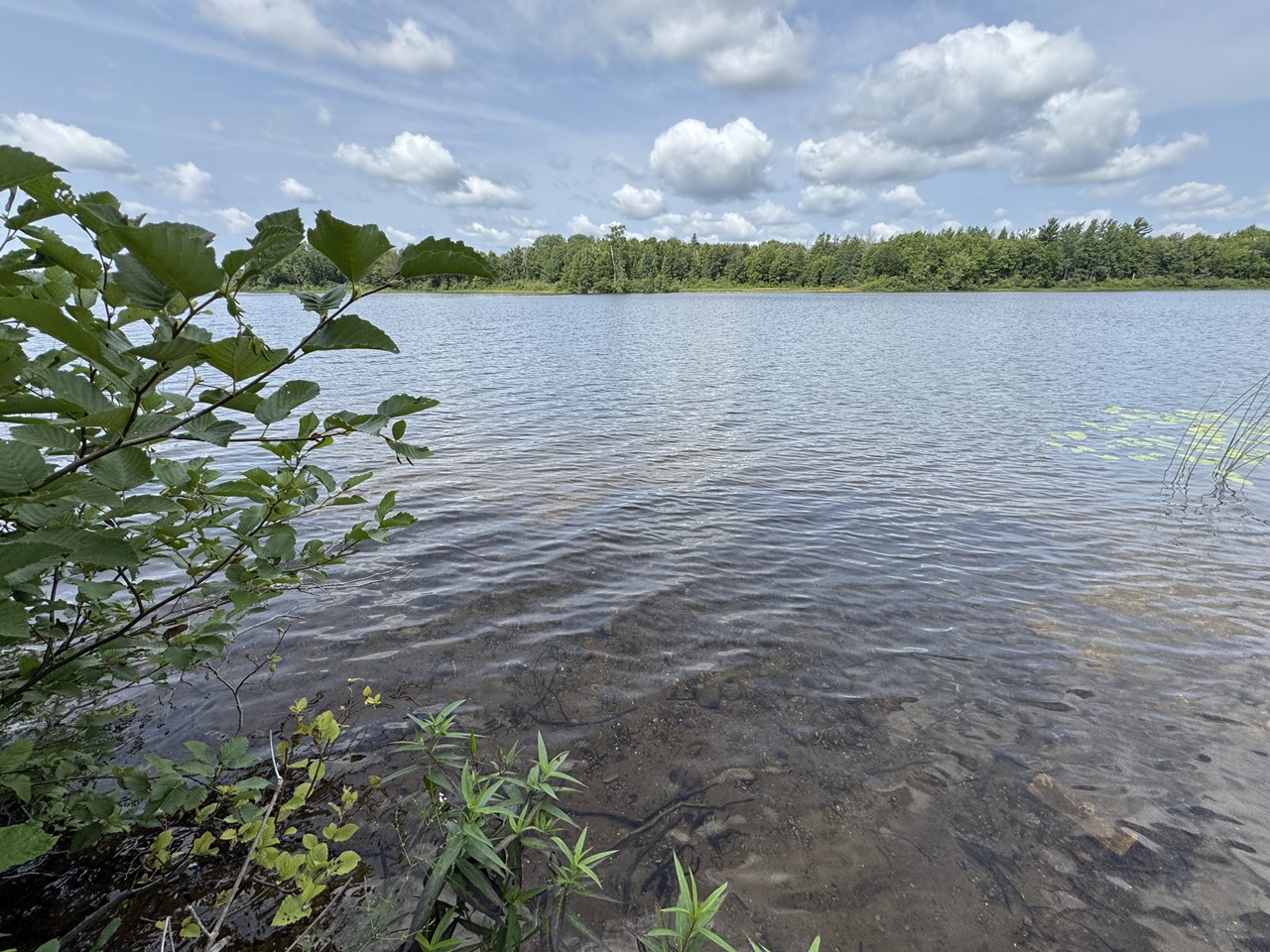 Mercer, Wisconsin, 54547, United States, 3 Bedrooms Bedrooms, ,1 BathroomBathrooms,Residential,For Sale,1974621