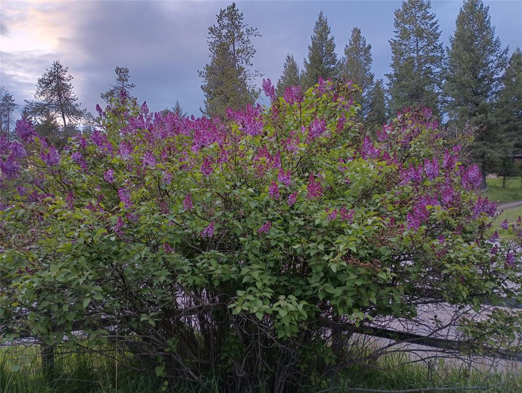 Whitefish, Montana, 59937, United States, 6 Bedrooms Bedrooms, ,5 BathroomsBathrooms,Residential,For Sale,2026243