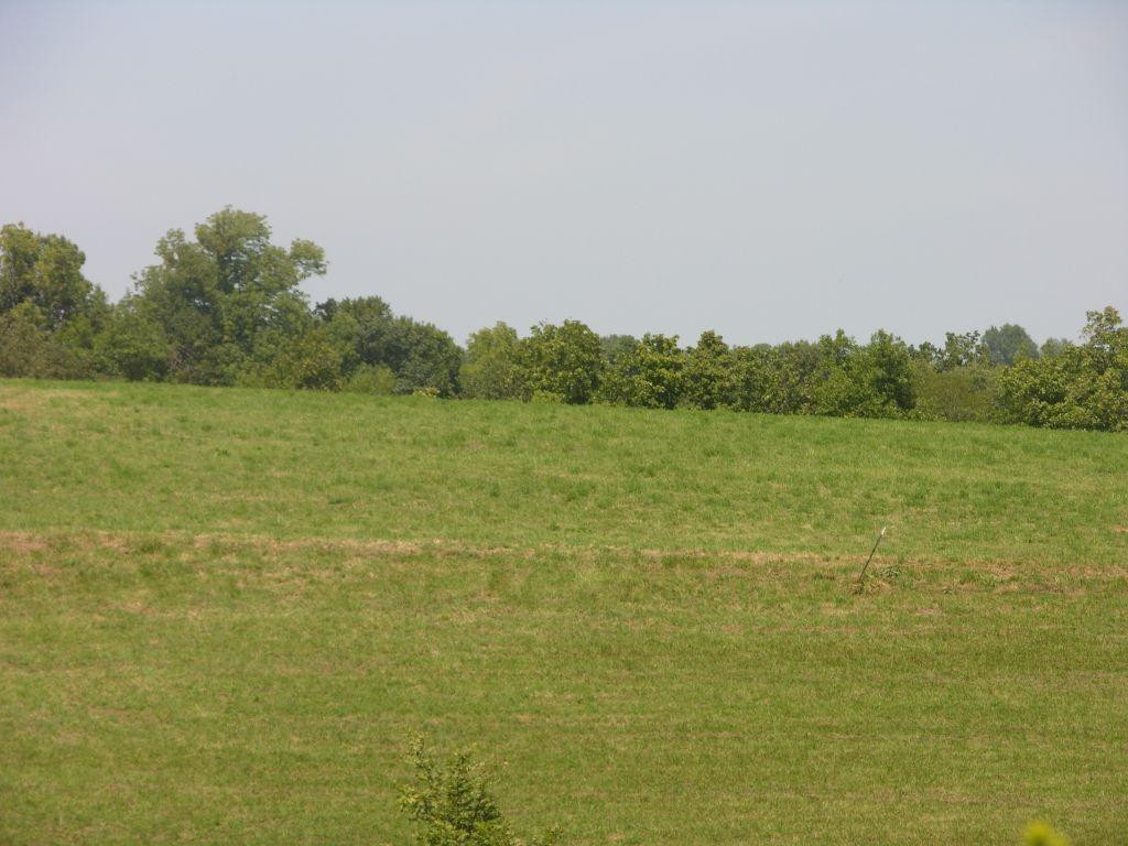 1400 Curtis Pike, Richmond, Kentucky, 40475, United States, ,Land,For Sale,1400 Curtis Pike,1616978