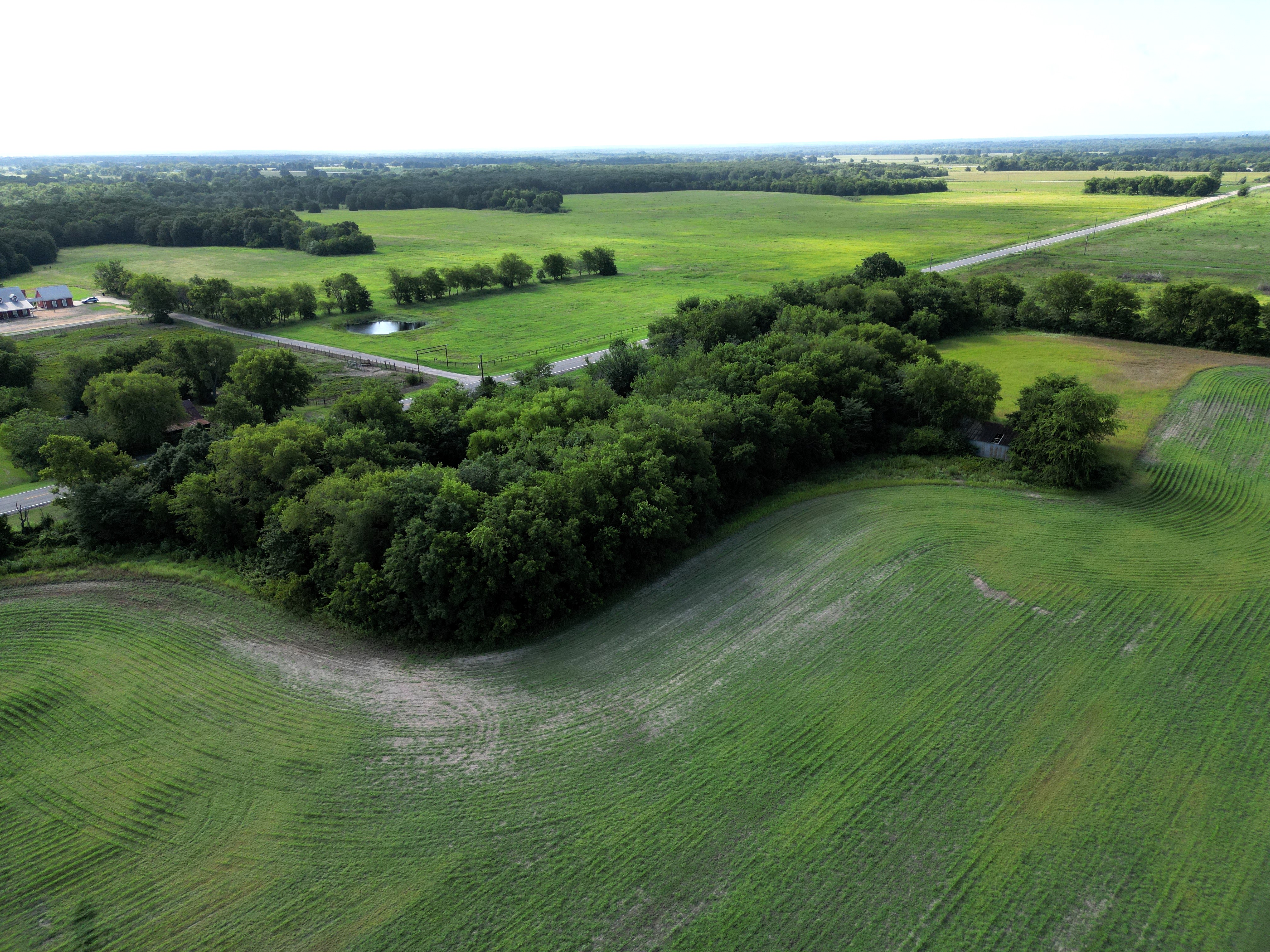 Commerce, Texas, 75428, United States, ,Residential,For Sale,1921218