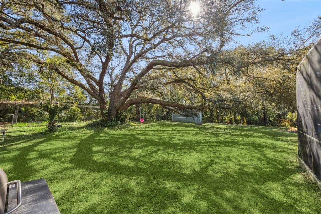 Sorrento, Florida, 32776, United States, 4 Bedrooms Bedrooms, ,3 BathroomsBathrooms,Residential,For Sale,1992093