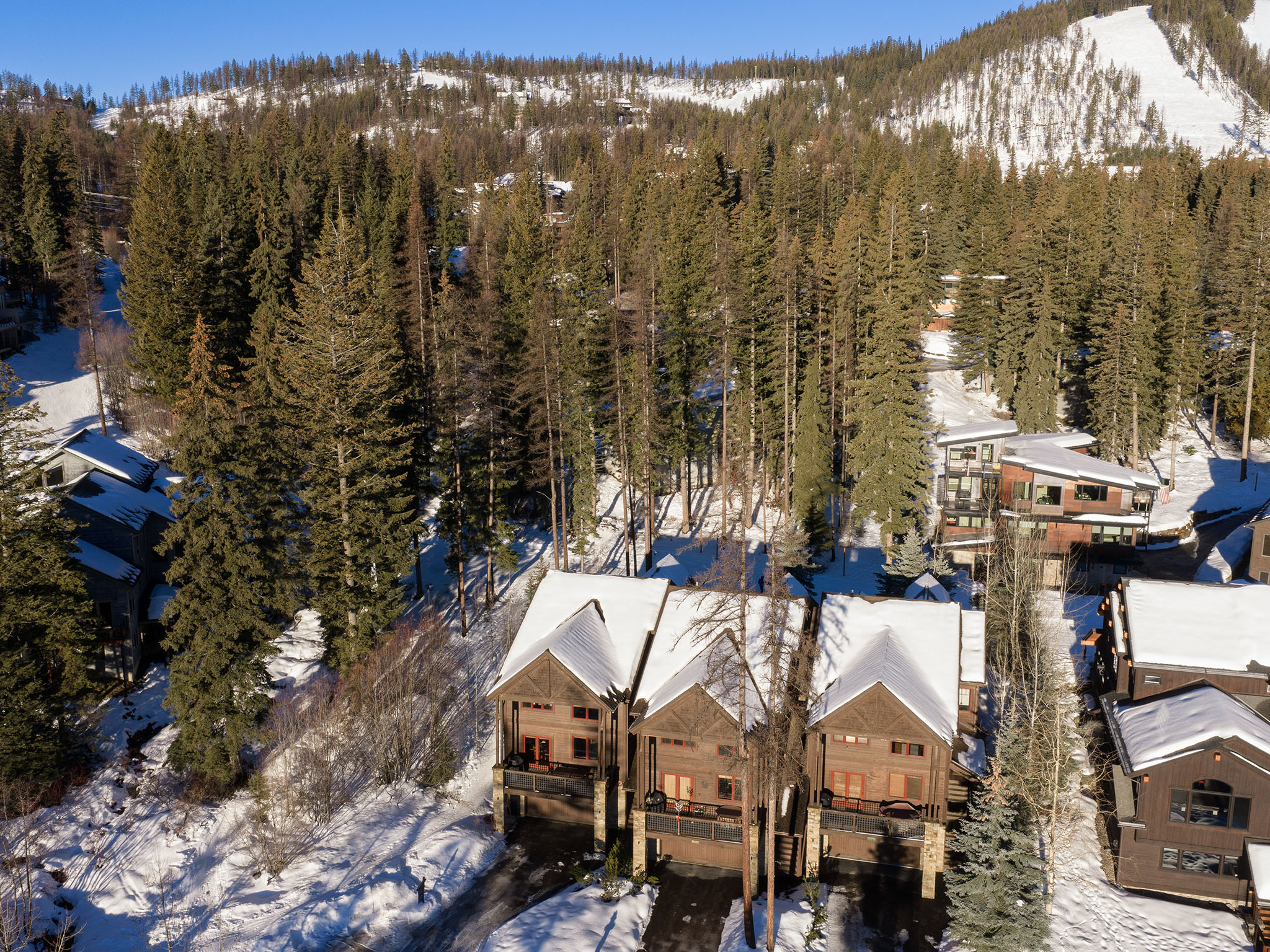  398 Moose Run Drive, Whitefish - 物件實景