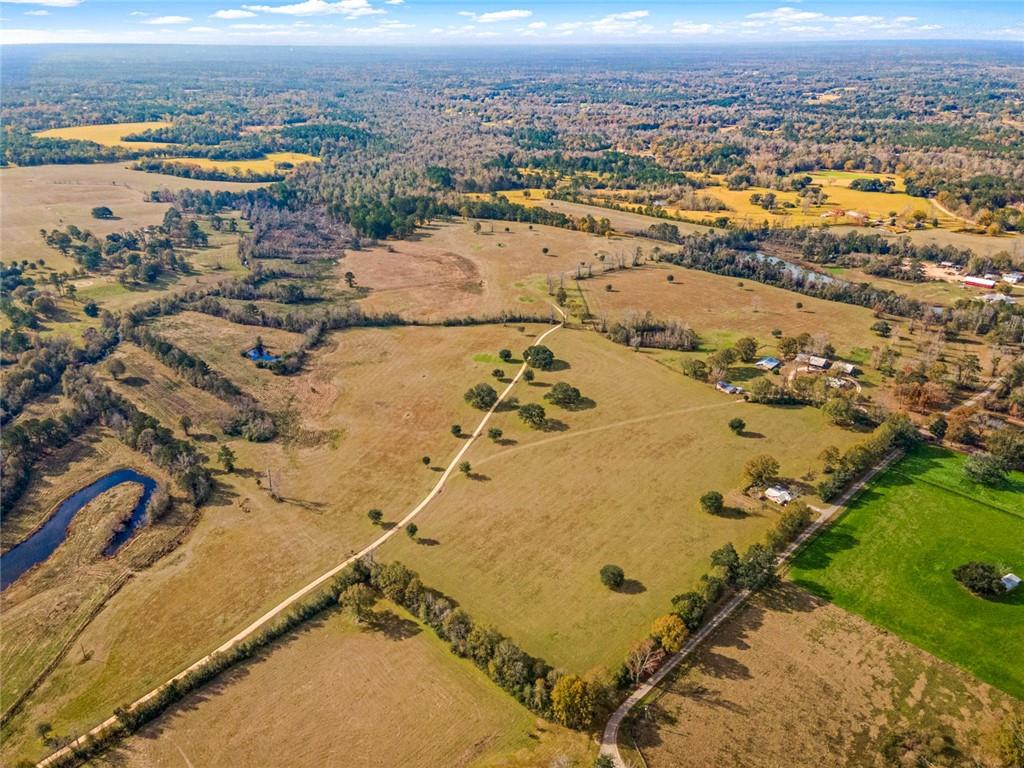 227.5 Acres Old Military (hwy 1082) Road, Bush, Louisiana, 70431, United States, ,Land,For Sale,227.5 Acres Old Military (hwy 1082) Road,1434121