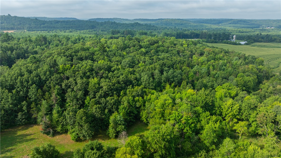 Fairchild, Wisconsin, 54741, United States, ,Residential,For Sale,1921830