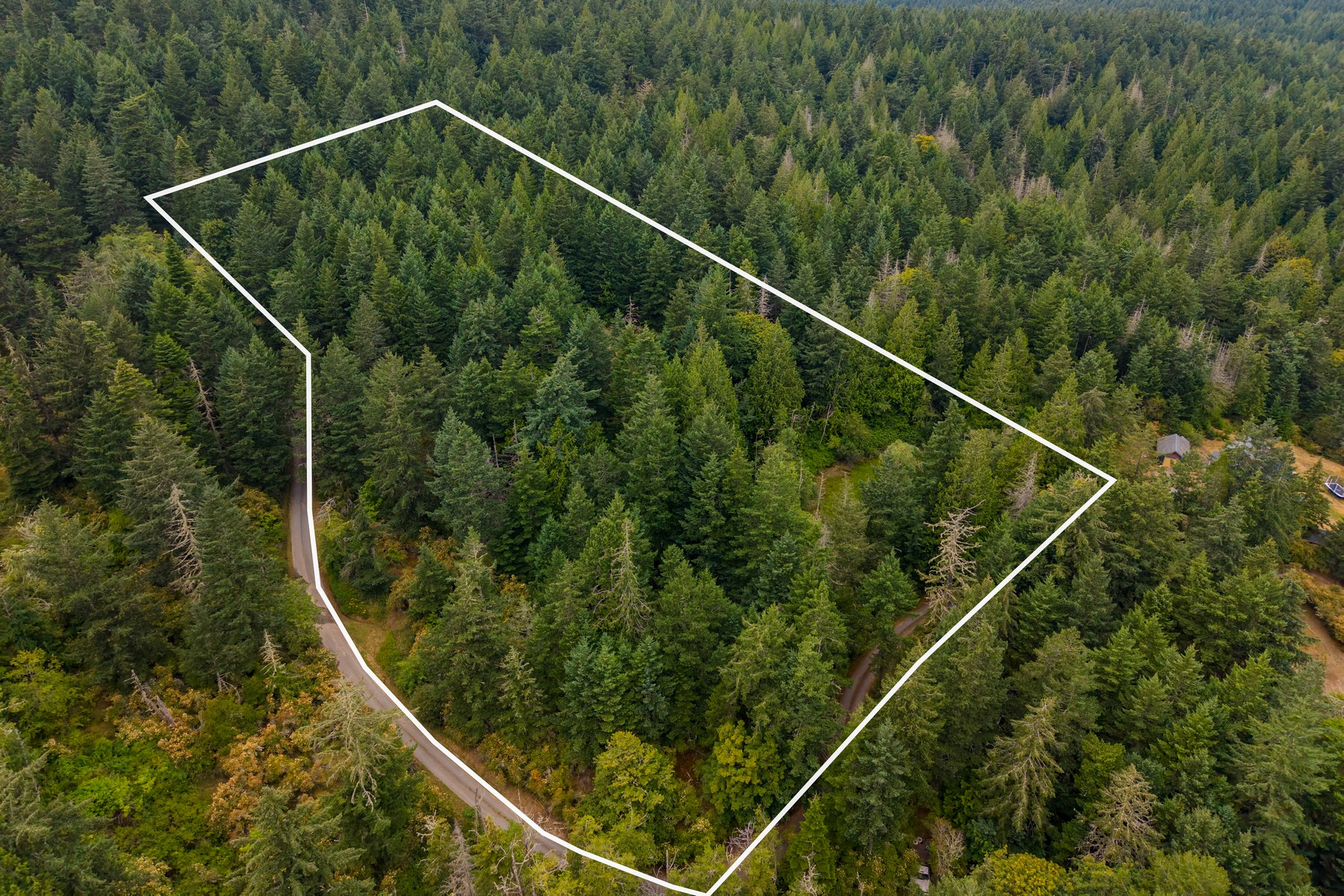  Hilltop Forest Retreat - 物件實景