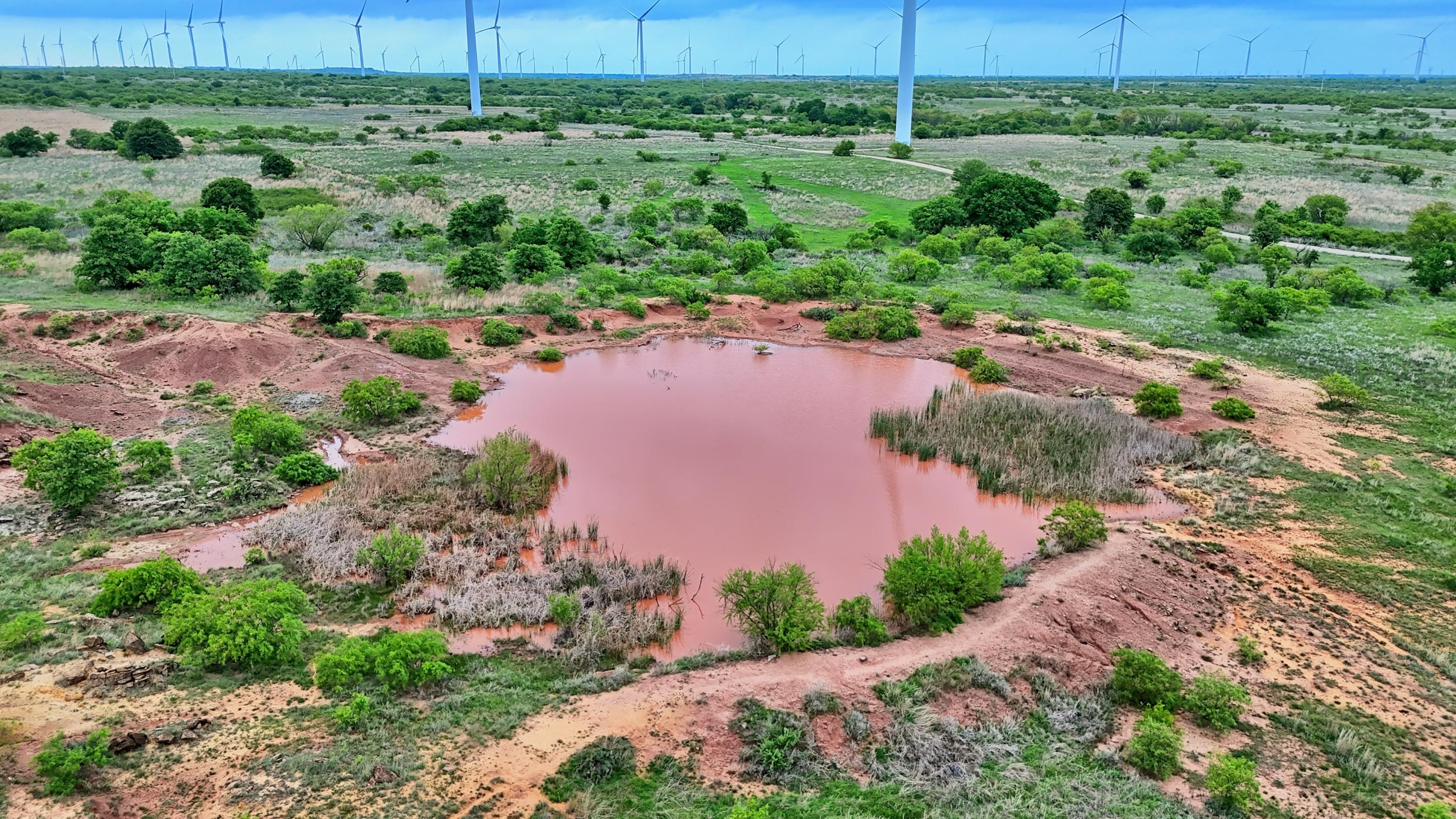 95 Acres in Clay County - 物件實景