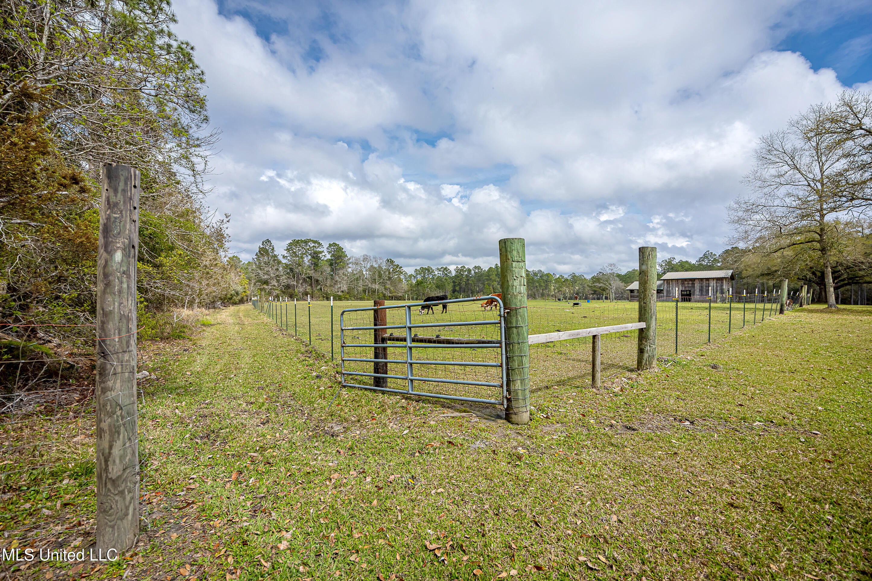 Vancleave, Mississippi, 39565, United States, 4 Bedrooms Bedrooms, ,2 BathroomsBathrooms,Residential,For Sale,1927401