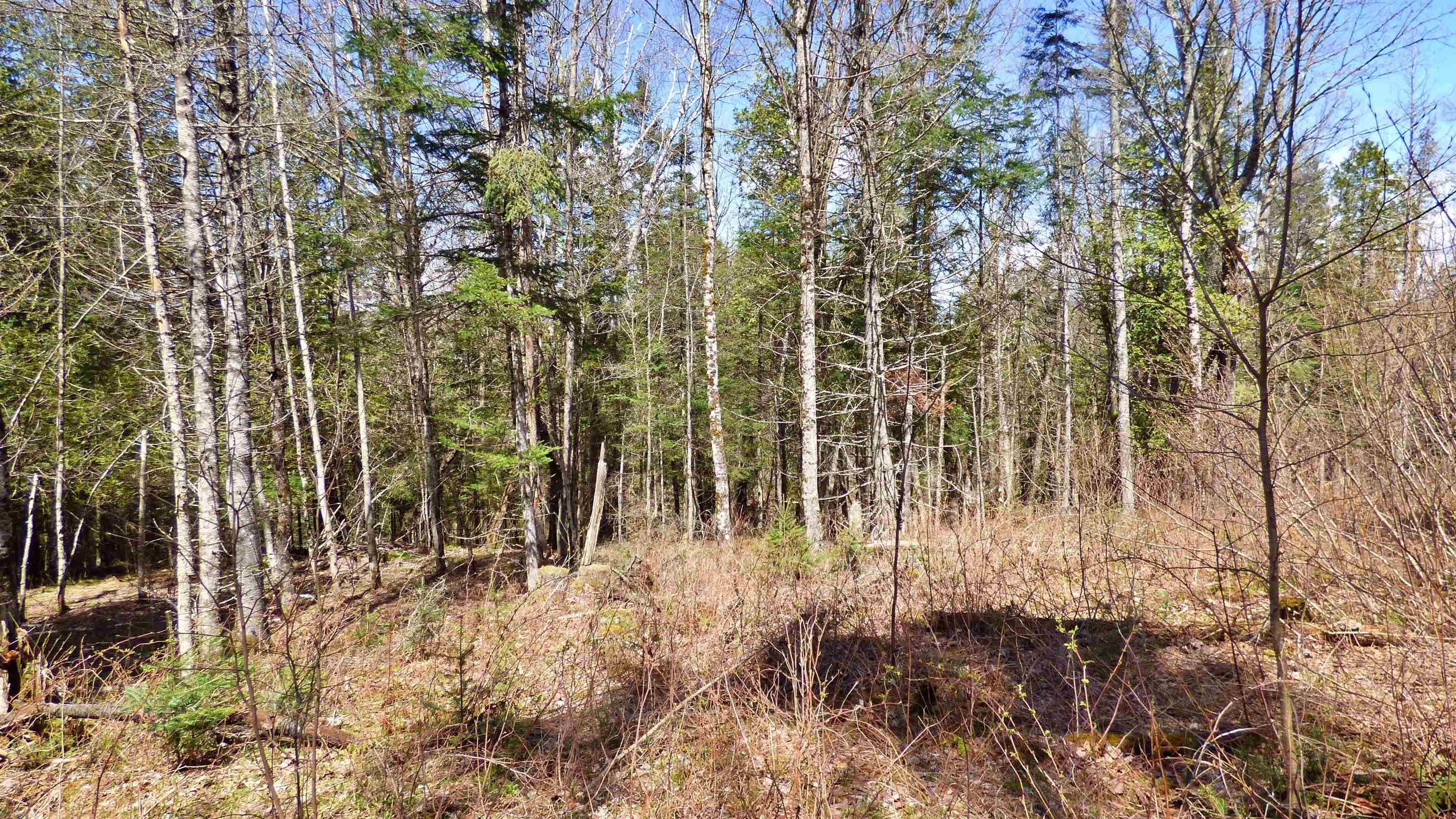 Wheelock, Vermont, 05851, United States, ,Land,For Sale,2017669